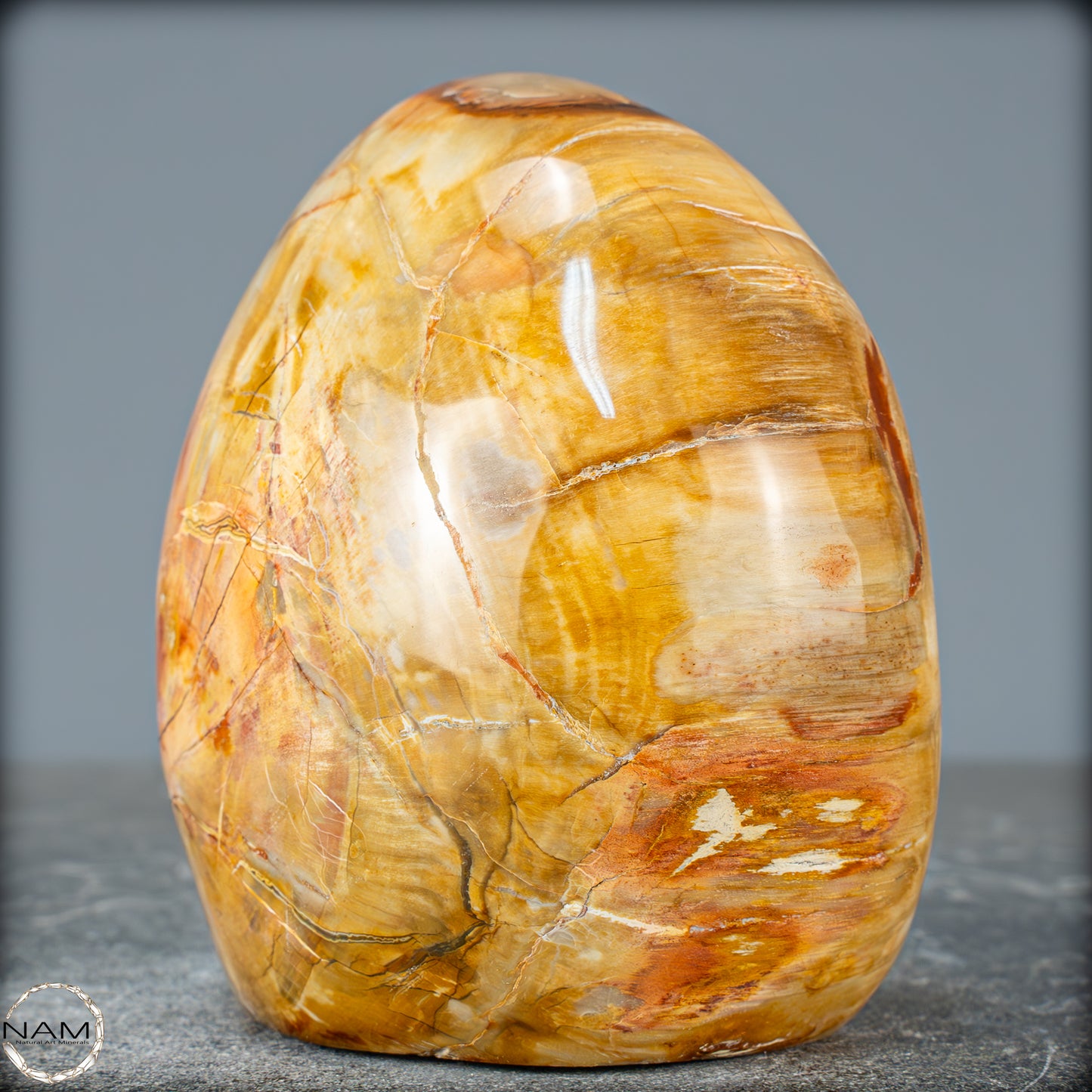 Natürliche Kristall-Freiform aus Versteinertem Holz - 832,15g