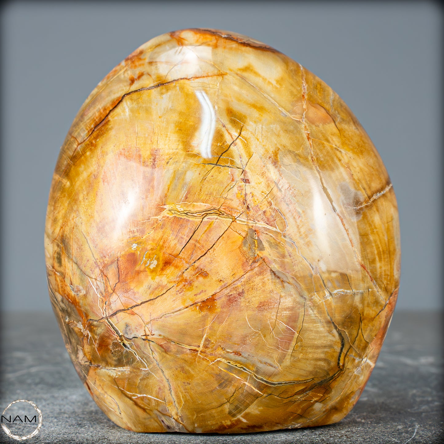 Natürliche Kristall-Freiform aus Versteinertem Holz - 832,15g
