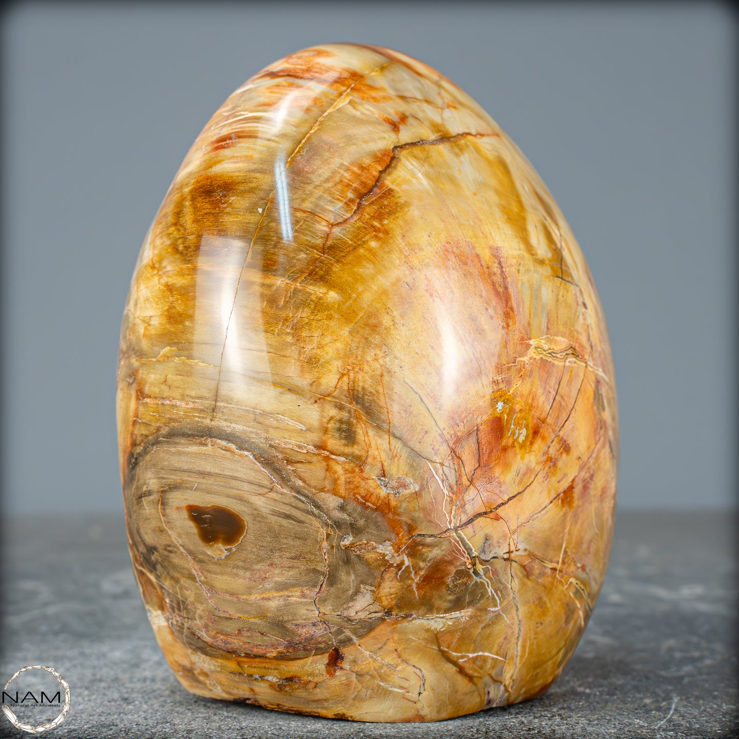 Natürliche Kristall-Freiform aus Versteinertem Holz - 832,15g