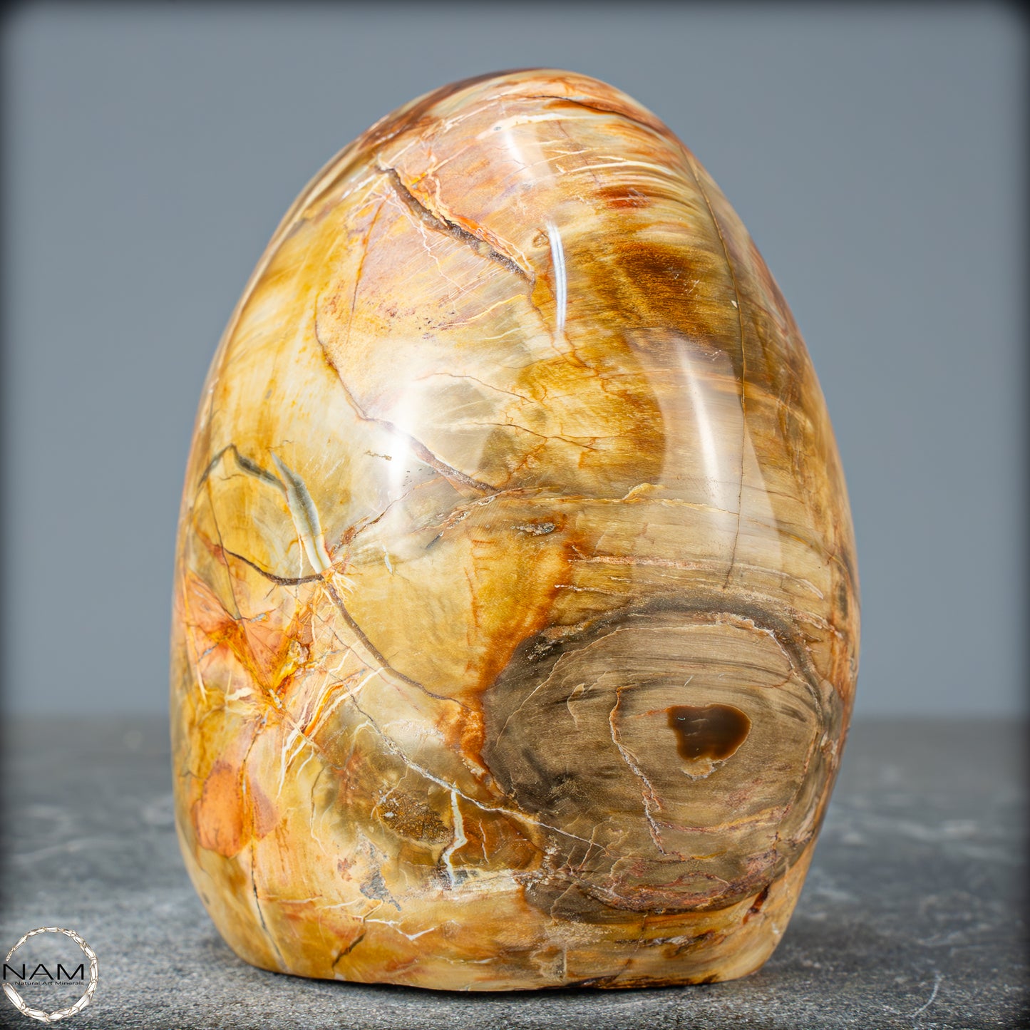 Natürliche Kristall-Freiform aus Versteinertem Holz - 832,15g
