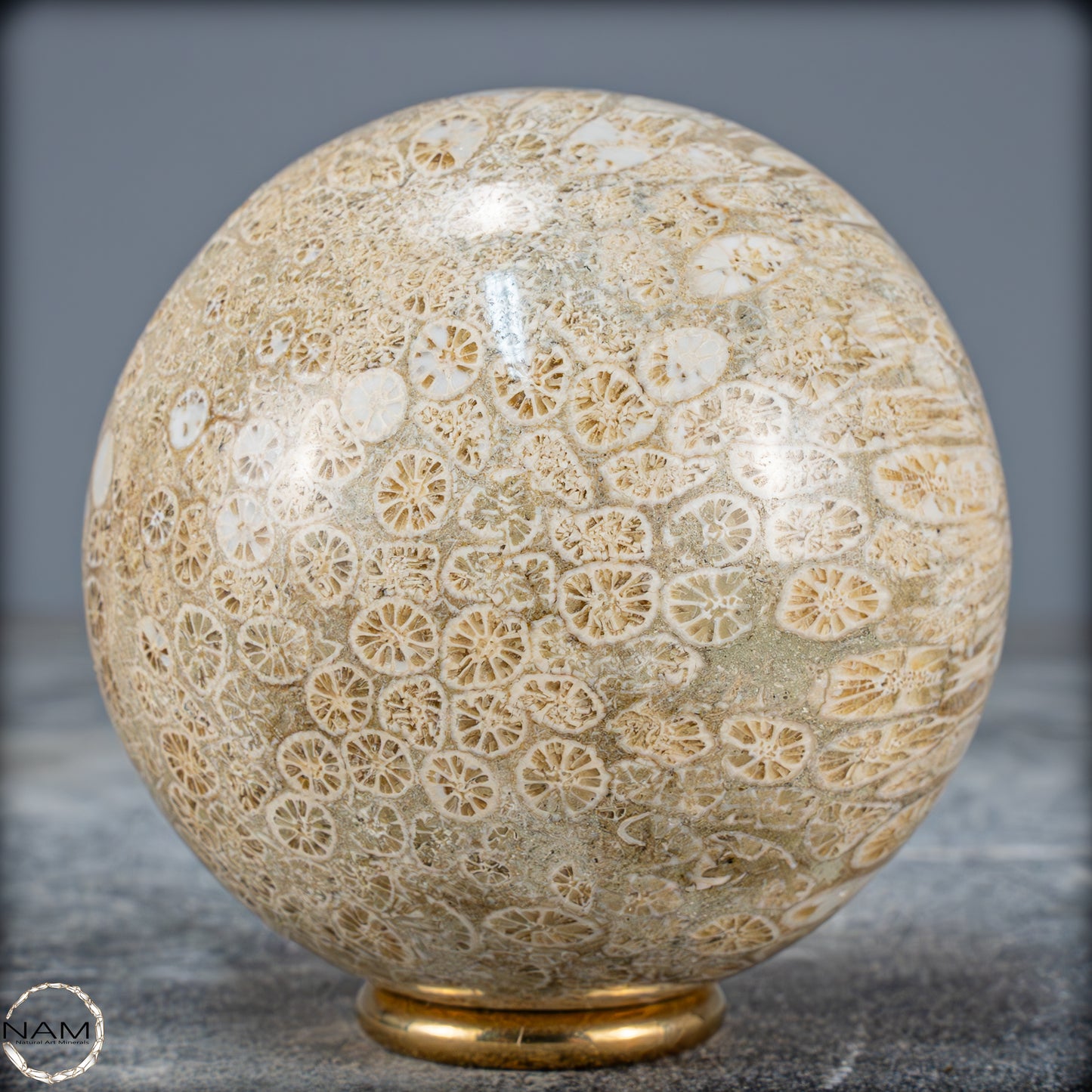 Natürliche Fossile Koralle als Kugel - 412,73g - 70mm