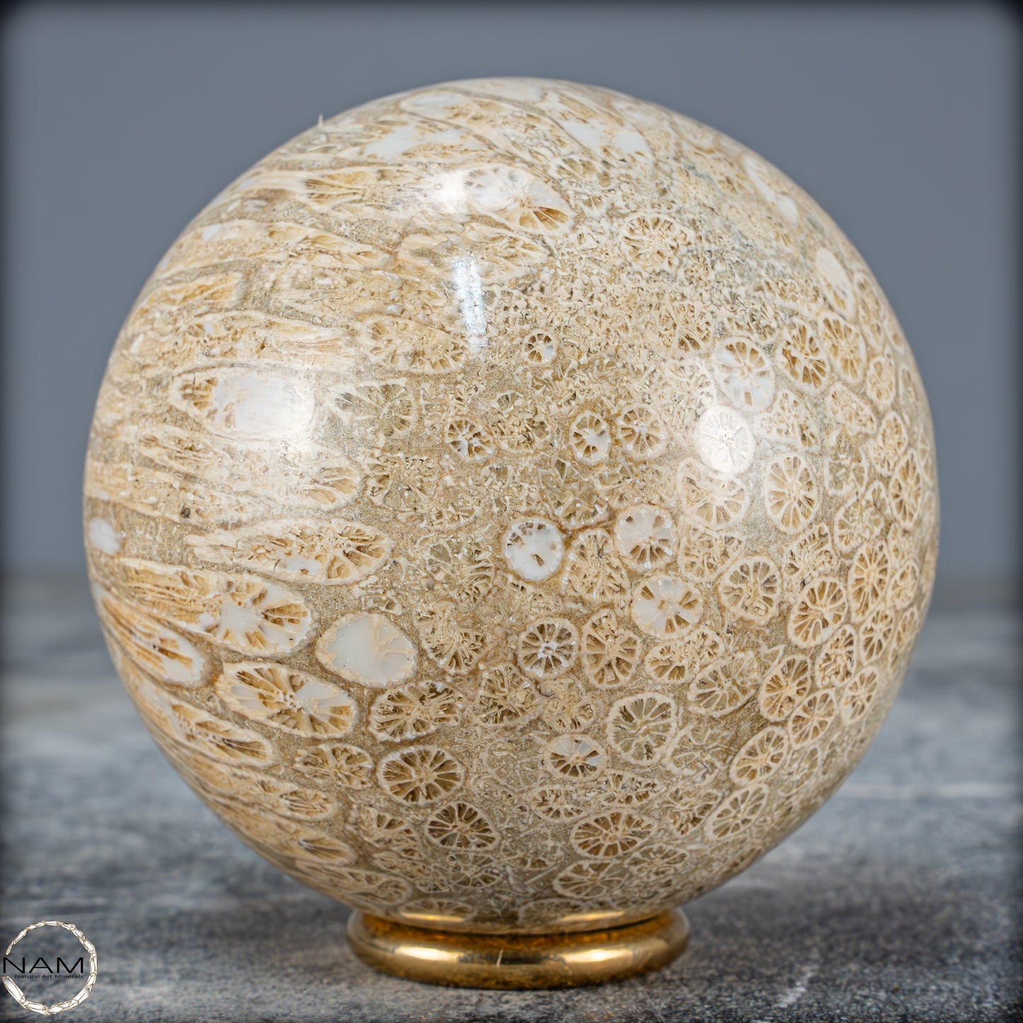 Natürliche Fossile Koralle als Kugel - 412,73g - 70mm