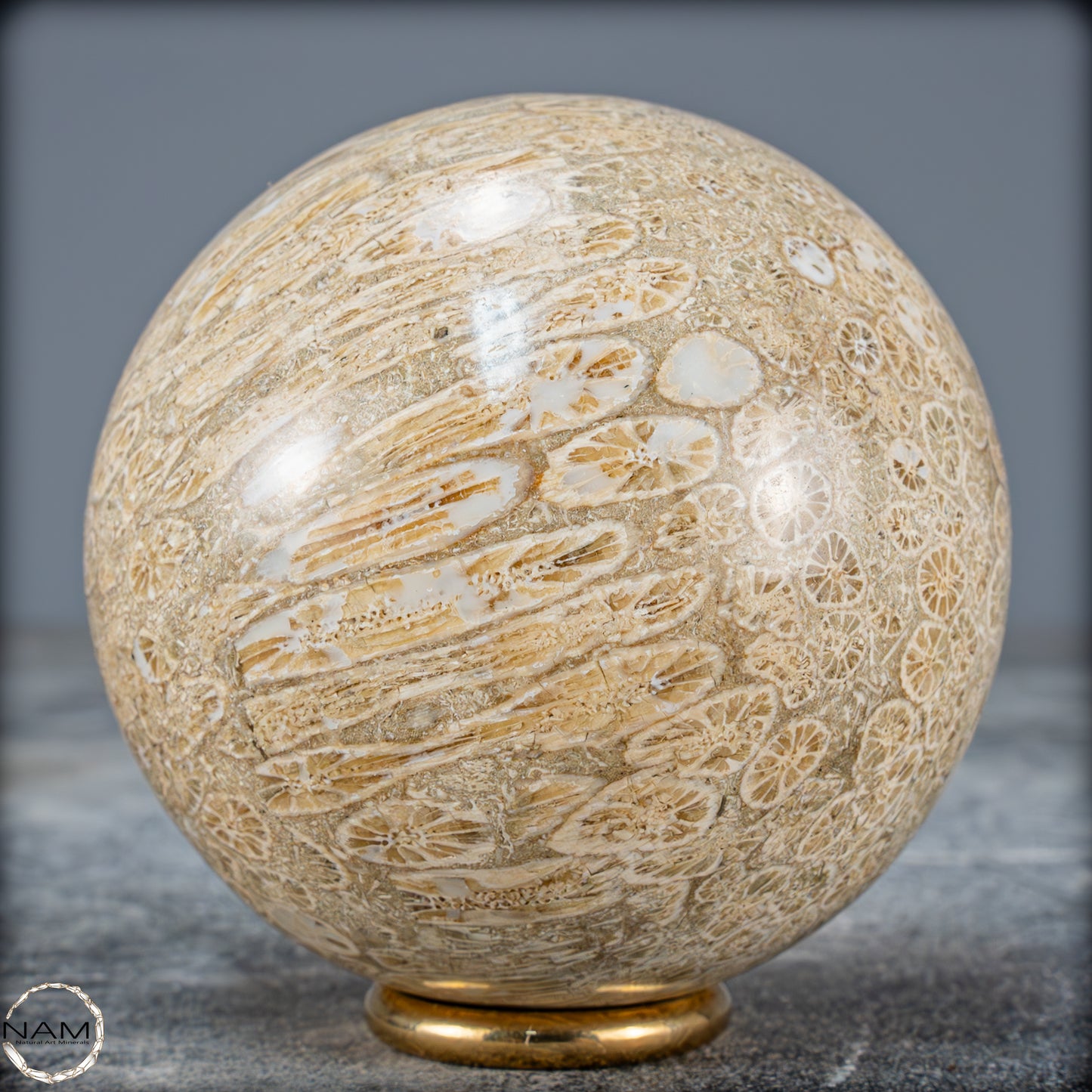 Natürliche Fossile Koralle als Kugel - 412,73g - 70mm