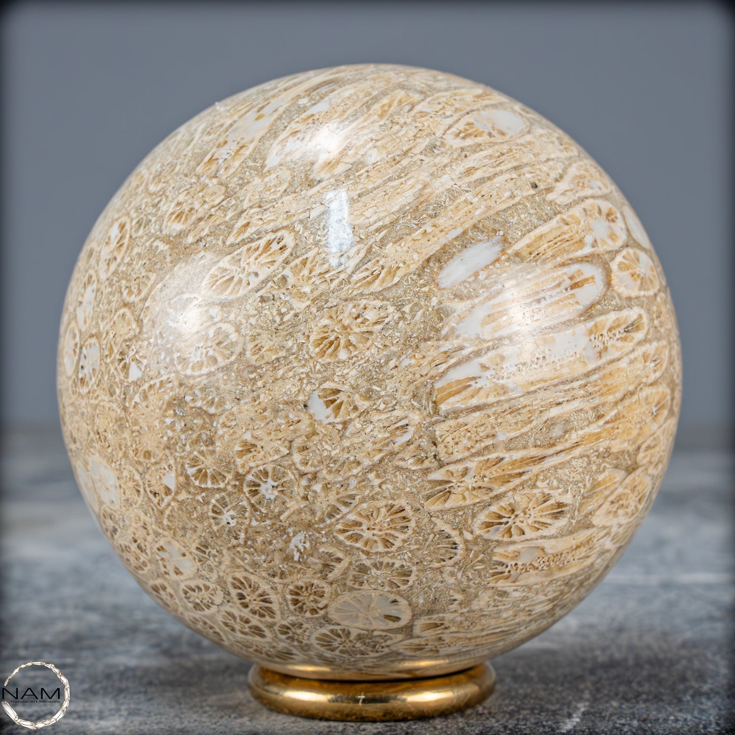 Natürliche Fossile Koralle als Kugel - 412,73g - 70mm
