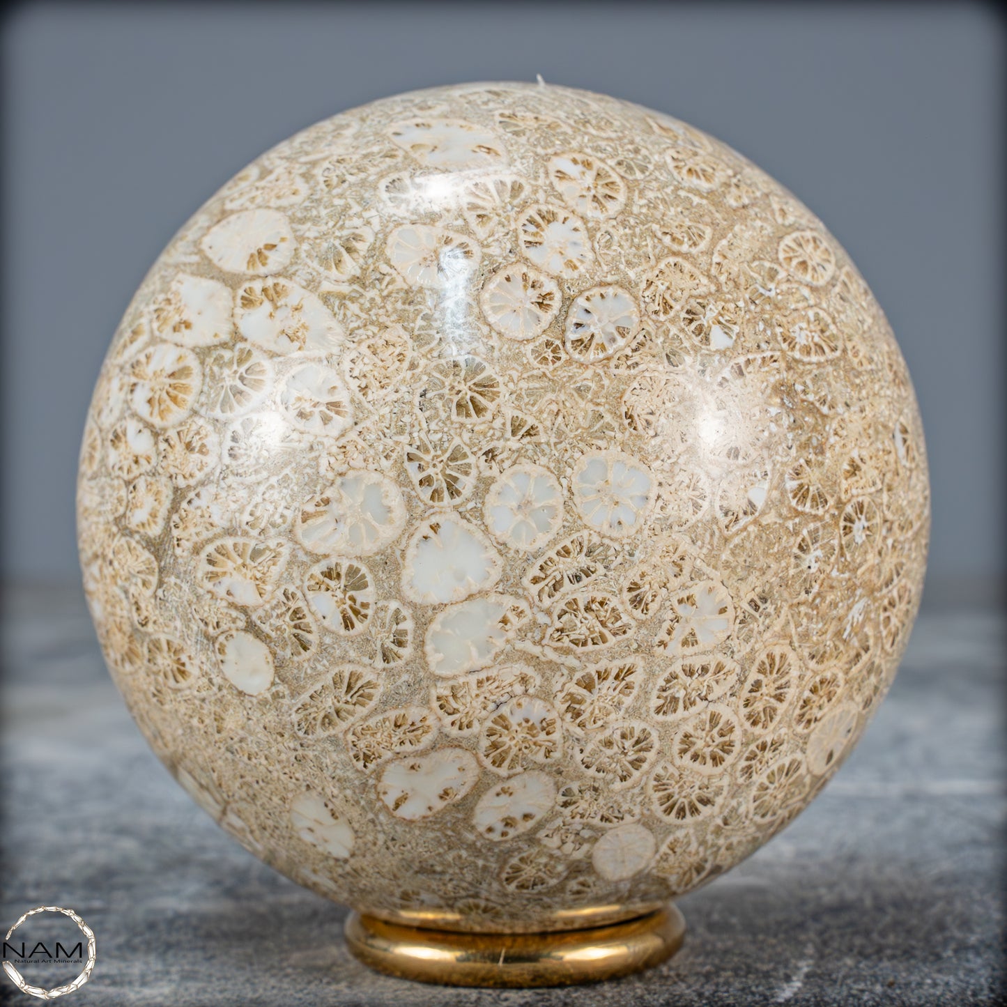 Natürliche Fossile Koralle als Kugel - 412,73g - 70mm