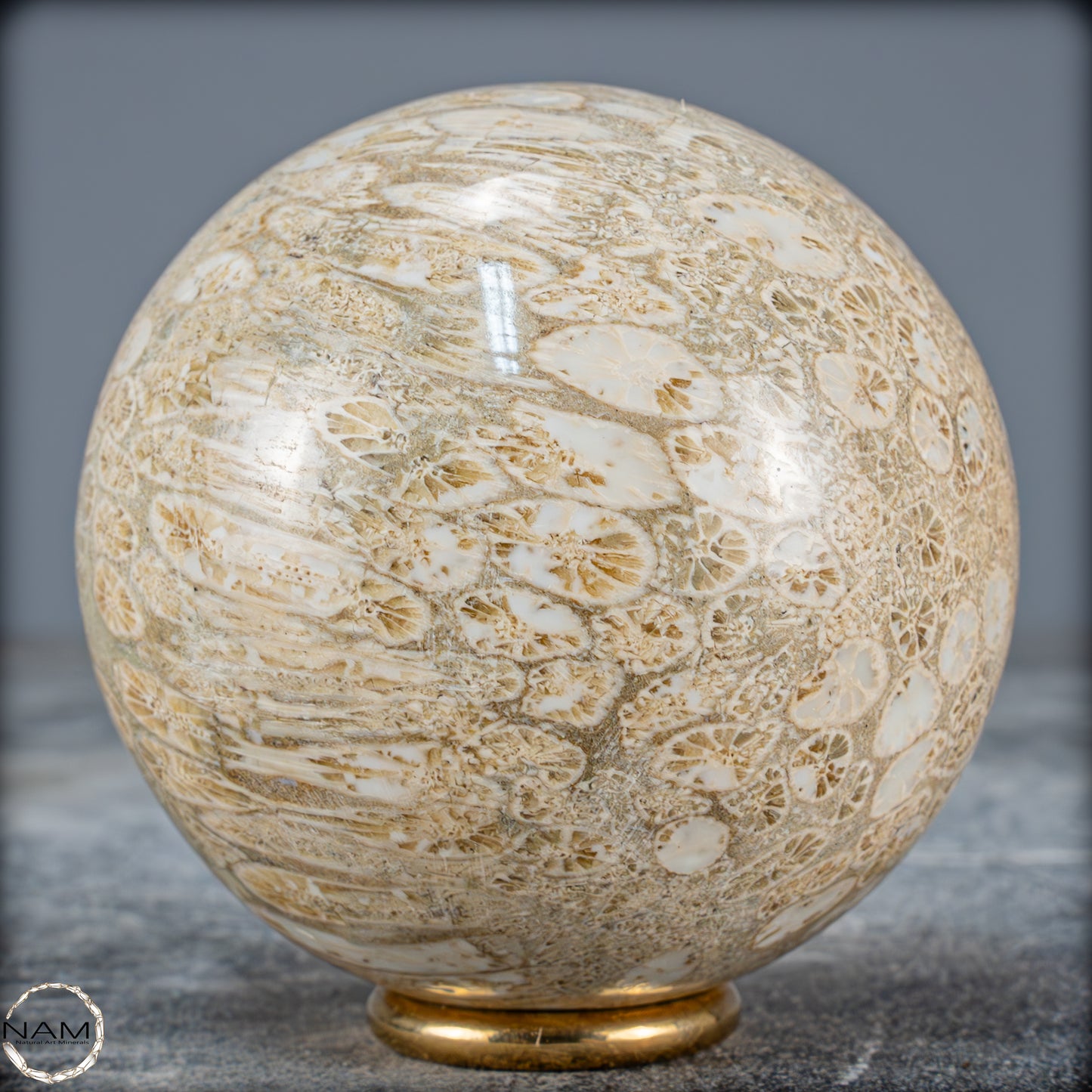 Natürliche Fossile Koralle als Kugel - 412,73g - 70mm