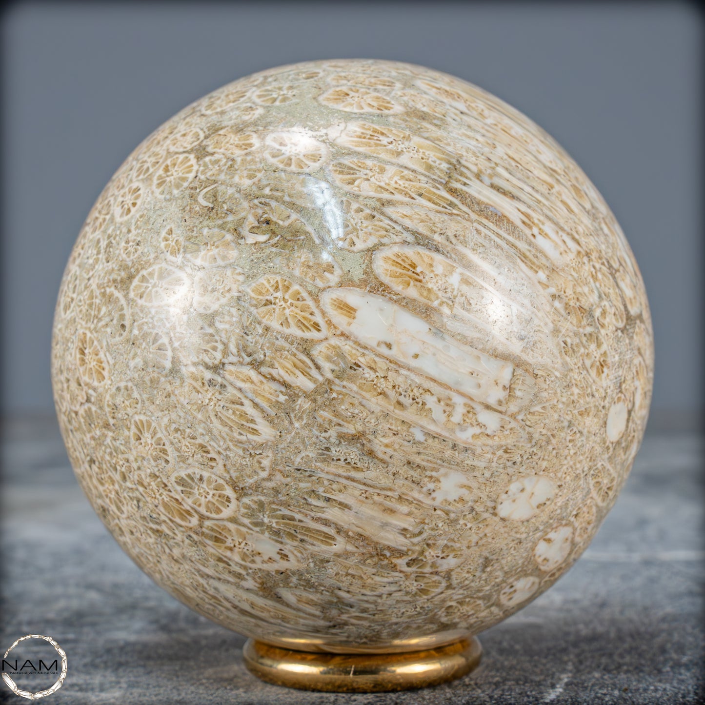 Natürliche Fossile Koralle als Kugel - 412,73g - 70mm