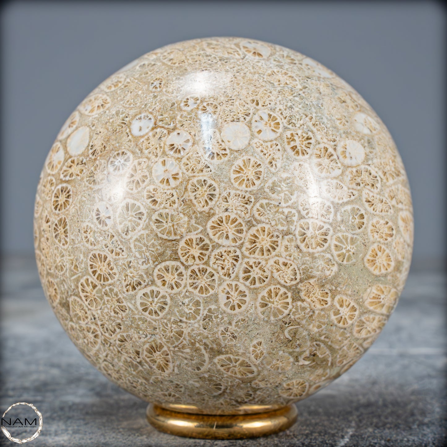 Natürliche Fossile Koralle als Kugel - 412,73g - 70mm
