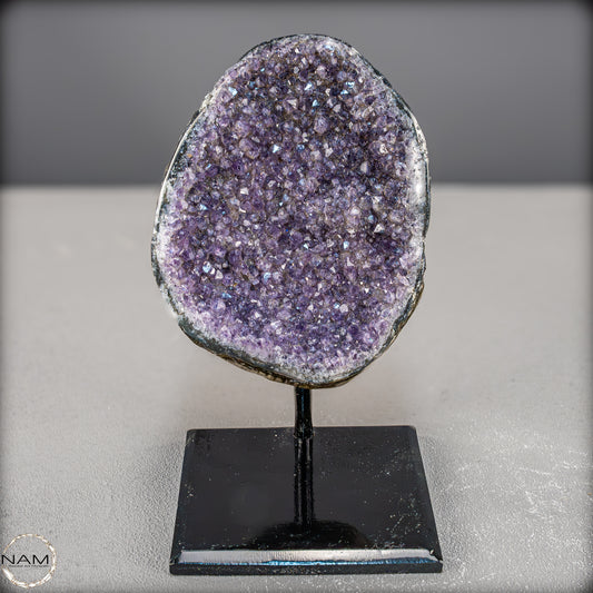 Natürliche Amethyst-Kristalle/Druse auf Ständer - 1561,23g