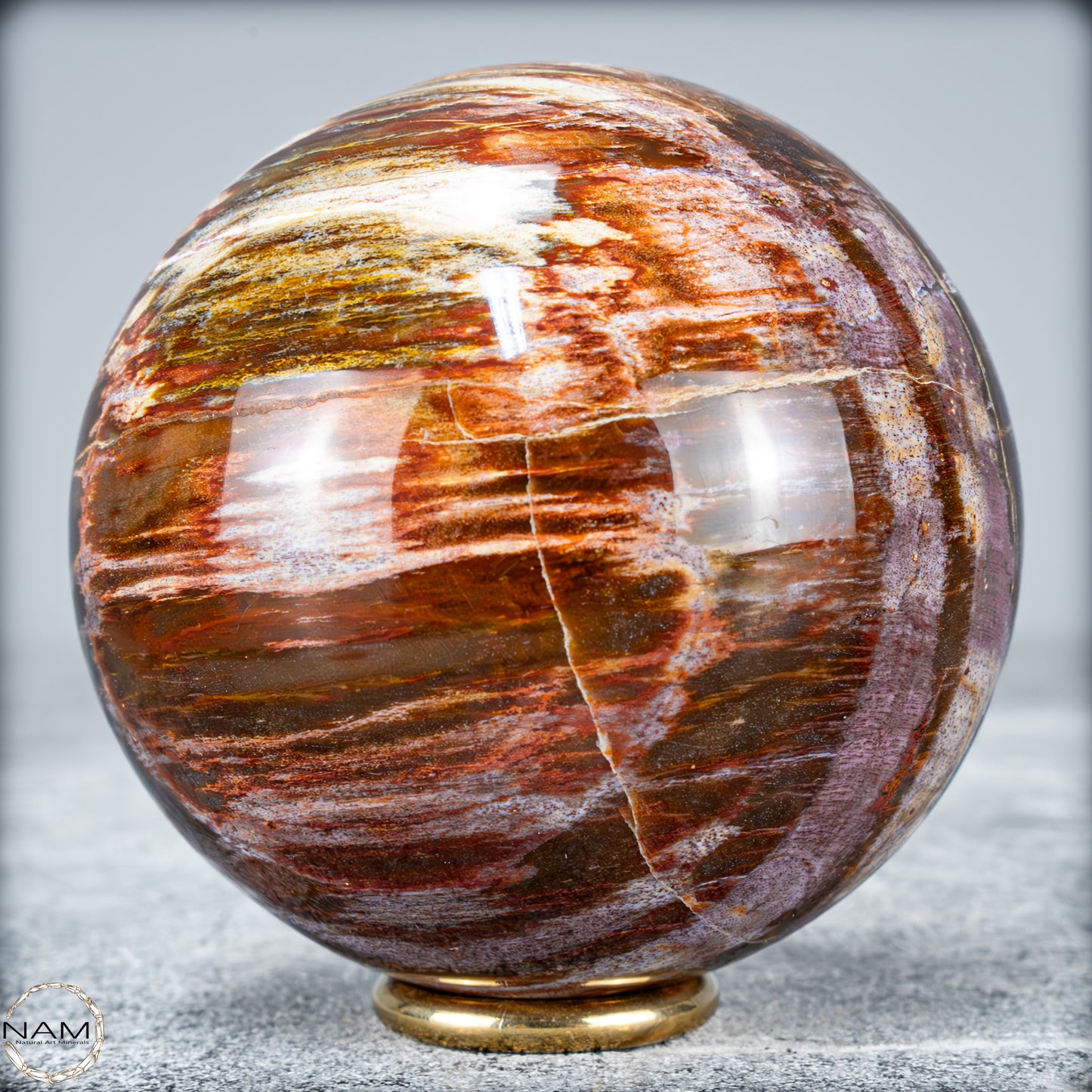 Natürliche Kristall-Kugel aus Versteinertem Holz - 596,56g