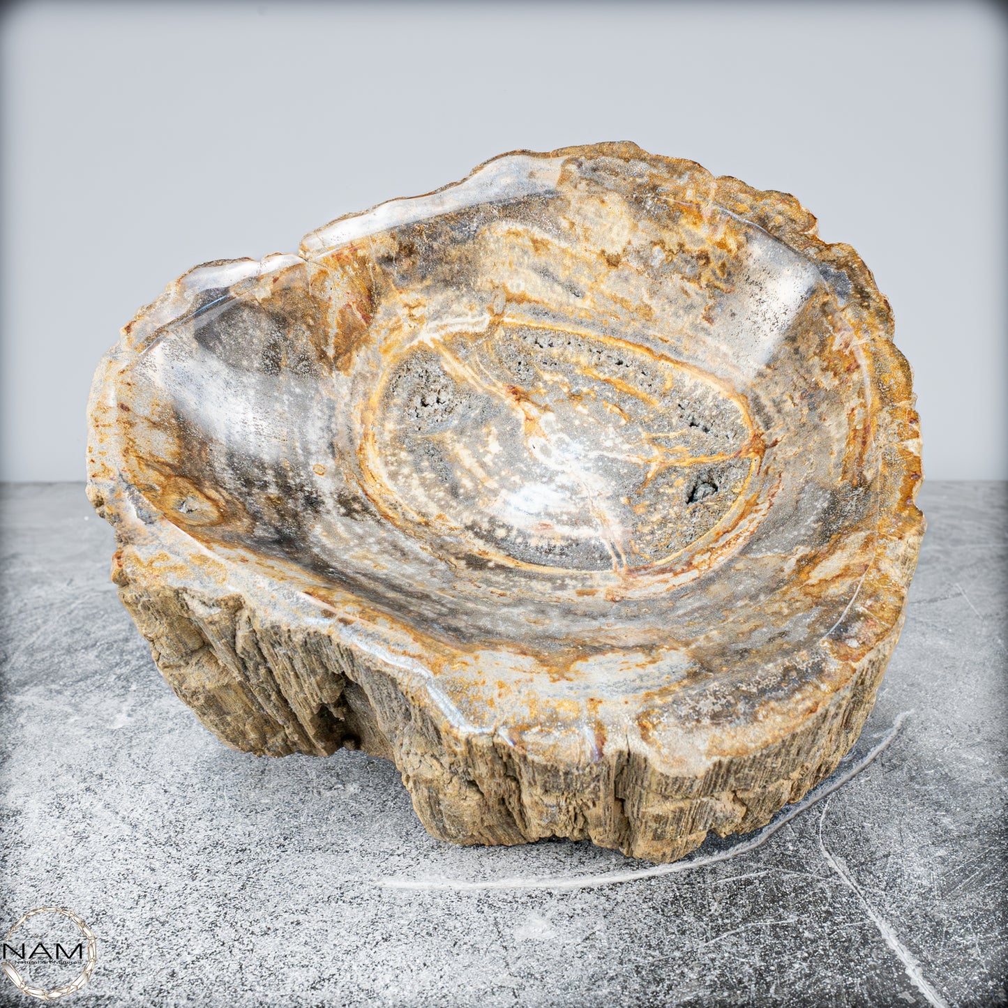 Natürliche Versteinerte Holz Kristall-Schale - 3024,77g