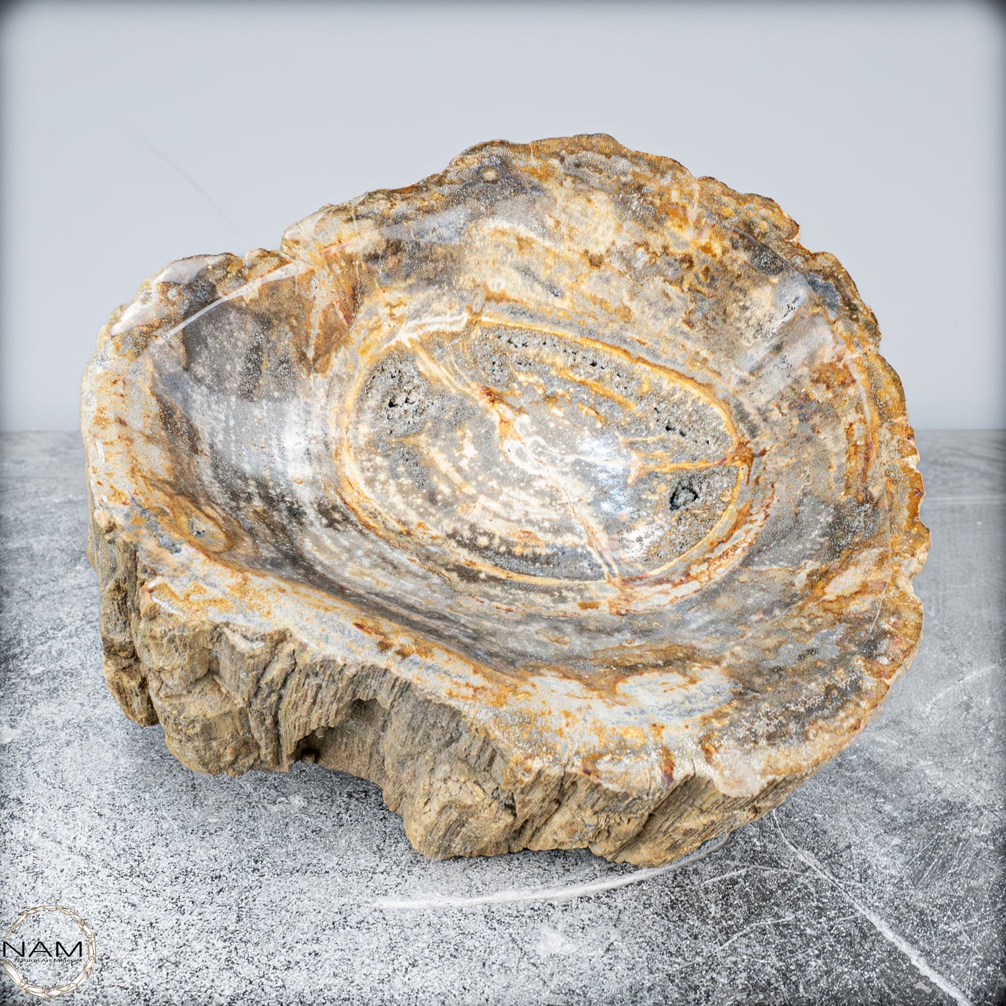 Natürliche Versteinerte Holz Kristall-Schale - 3024,77g
