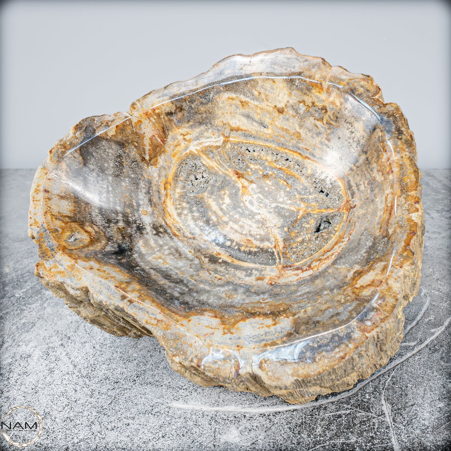 Natürliche Versteinerte Holz Kristall-Schale - 3024,77g