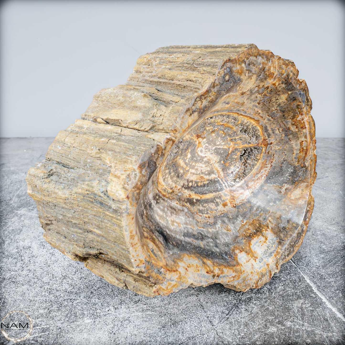 Natürliche Versteinerte Holz Kristall-Schale - 3024,77g