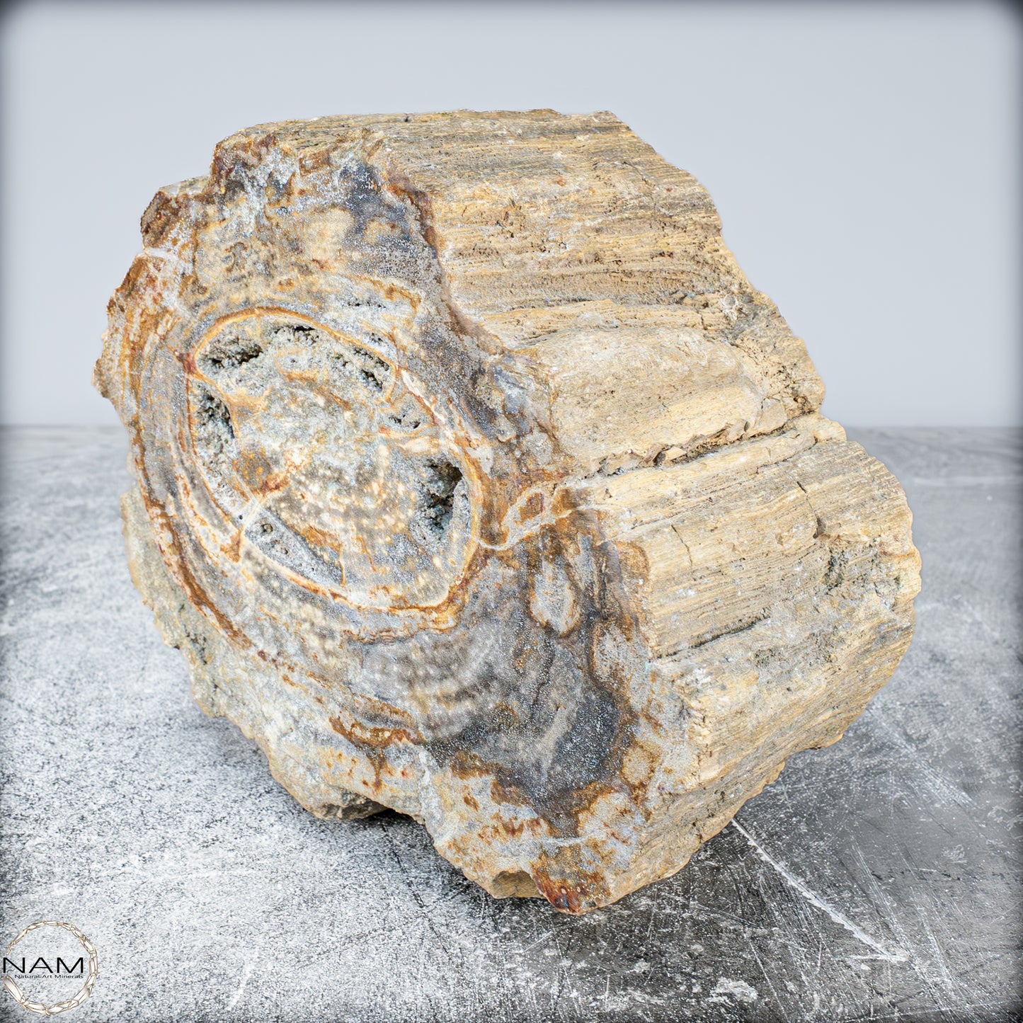 Natürliche Versteinerte Holz Kristall-Schale - 3024,77g