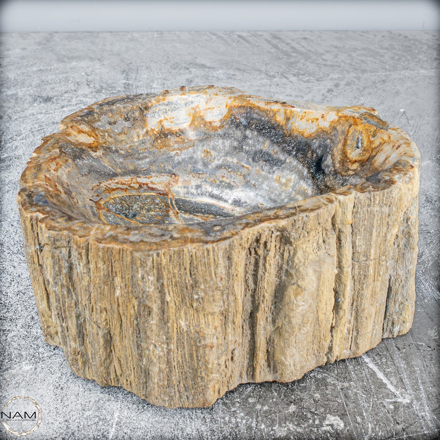 Natürliche Versteinerte Holz Kristall-Schale - 3024,77g