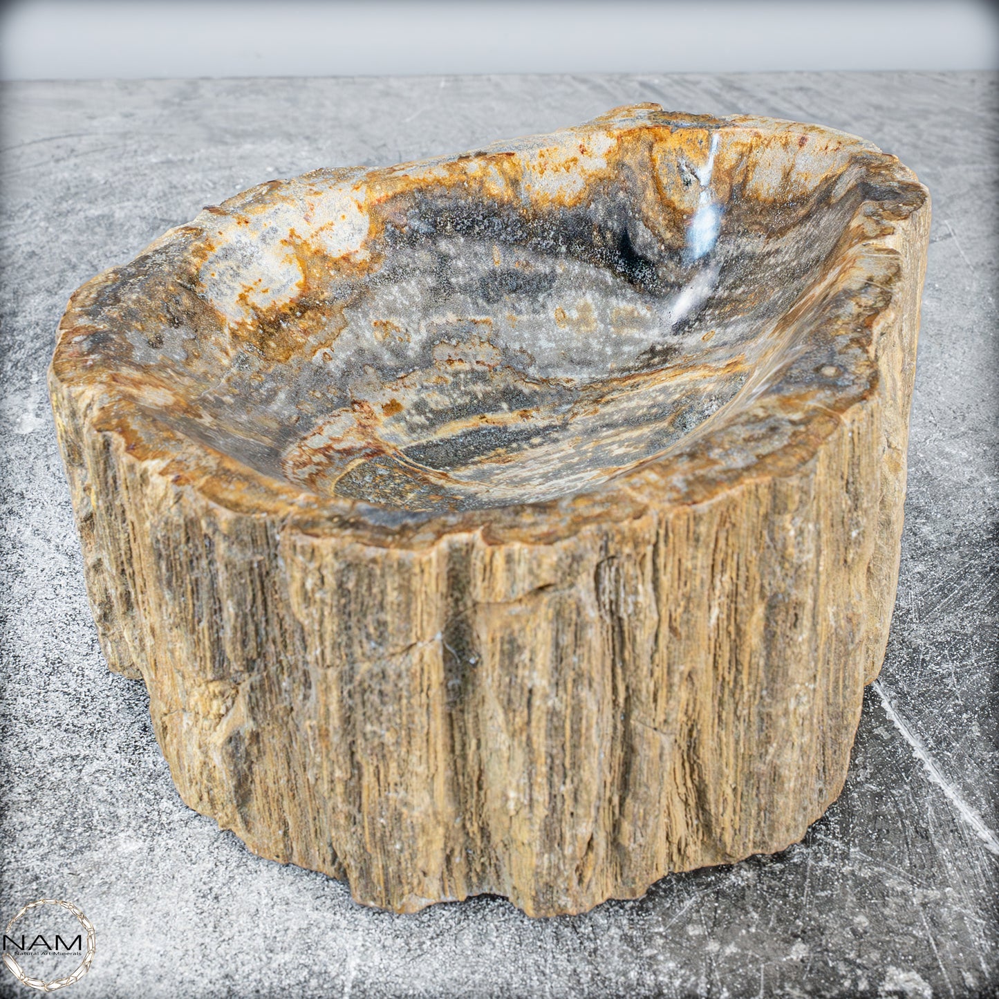 Natürliche Versteinerte Holz Kristall-Schale - 3024,77g
