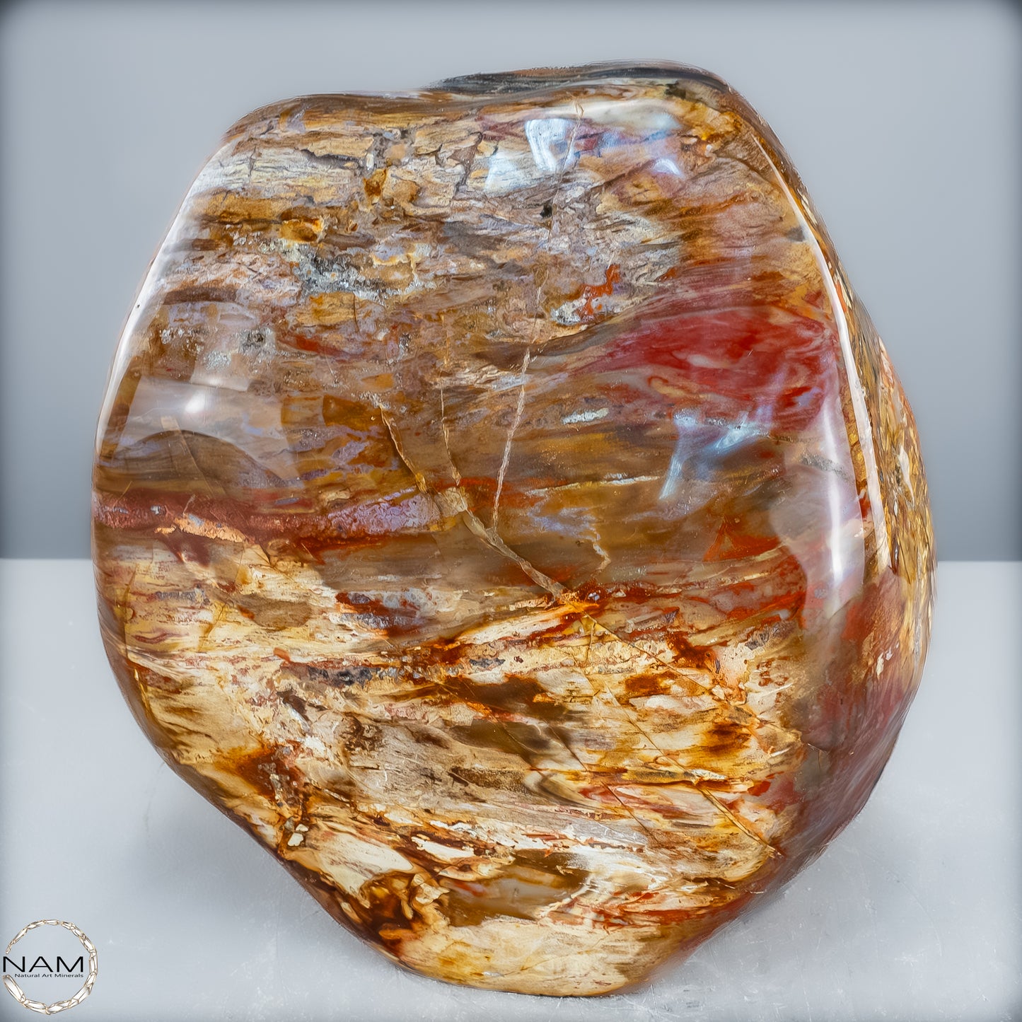 Natürliche Kristall-Freiform aus Versteinertem Holz - 10052,33g