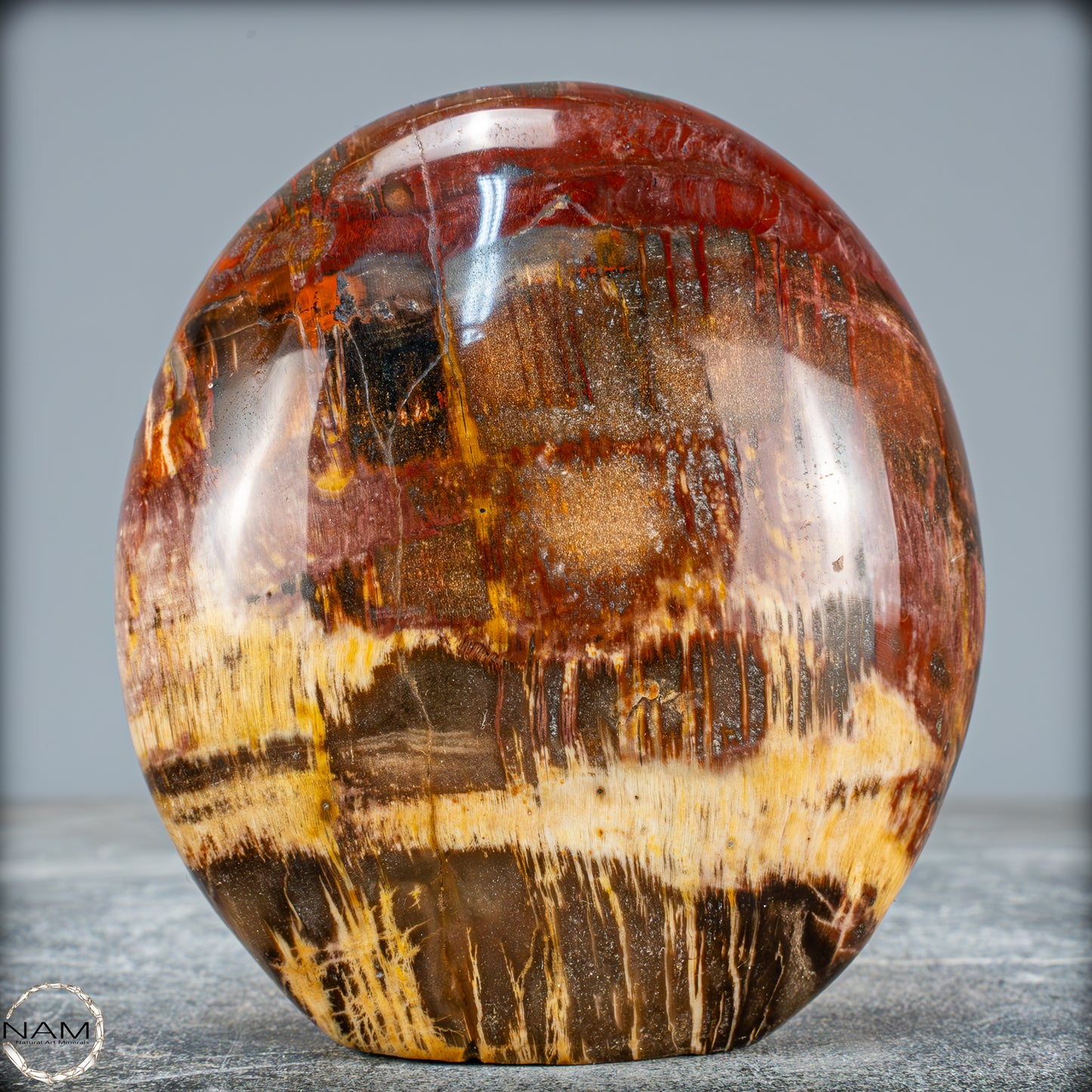 Natürliche Kristall-Freiform aus Versteinertem Holz - 934,88g