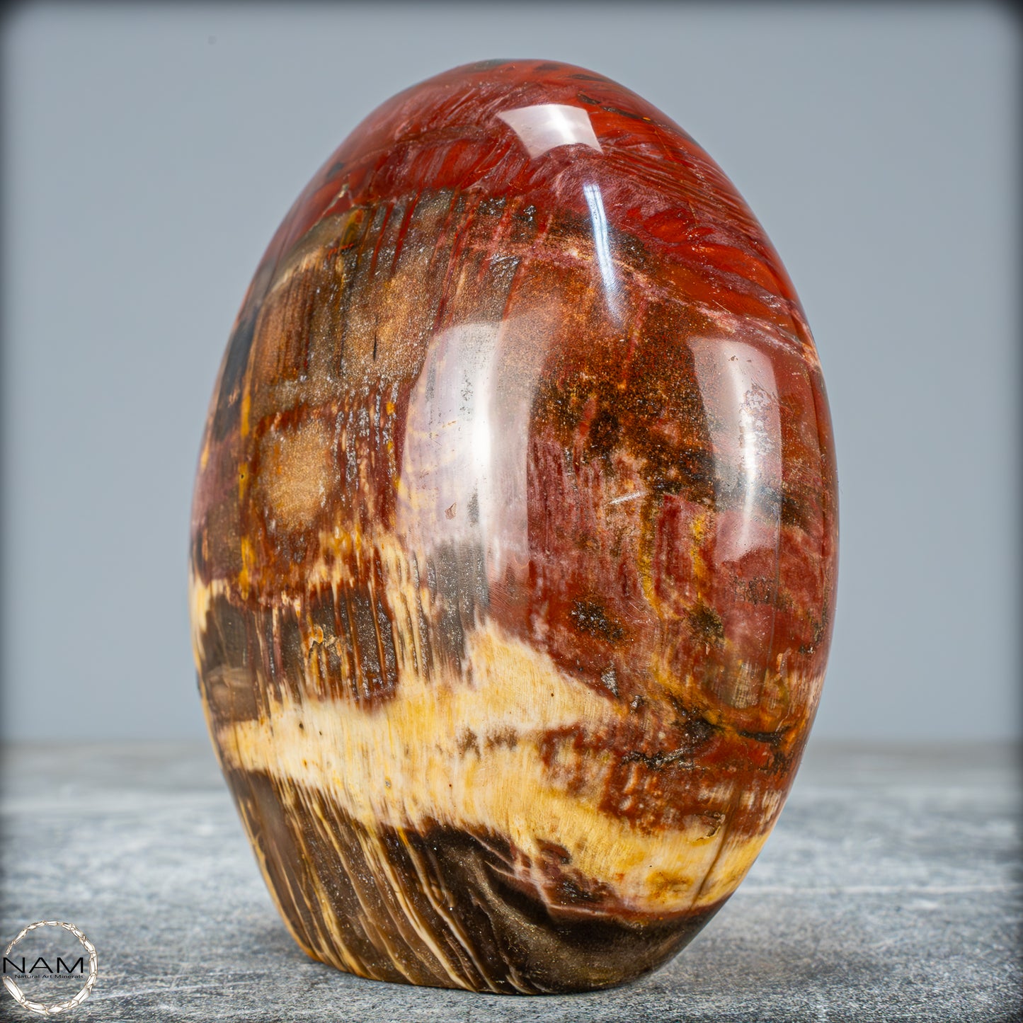 Natürliche Kristall-Freiform aus Versteinertem Holz - 934,88g