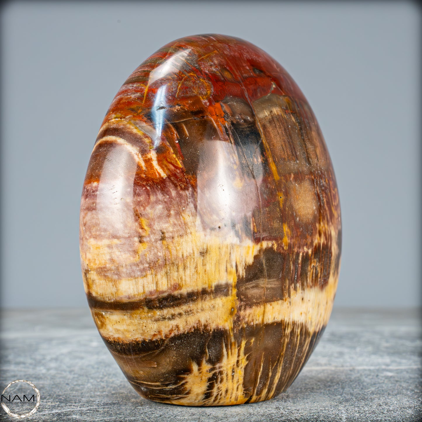 Natürliche Kristall-Freiform aus Versteinertem Holz - 934,88g