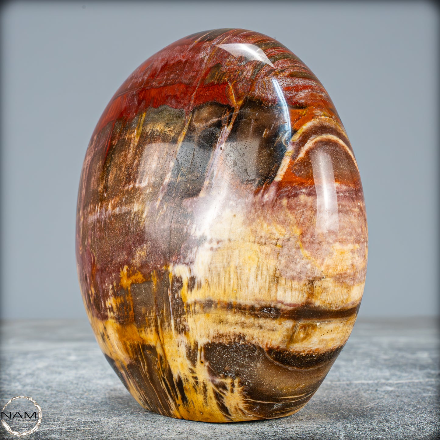 Natürliche Kristall-Freiform aus Versteinertem Holz - 934,88g