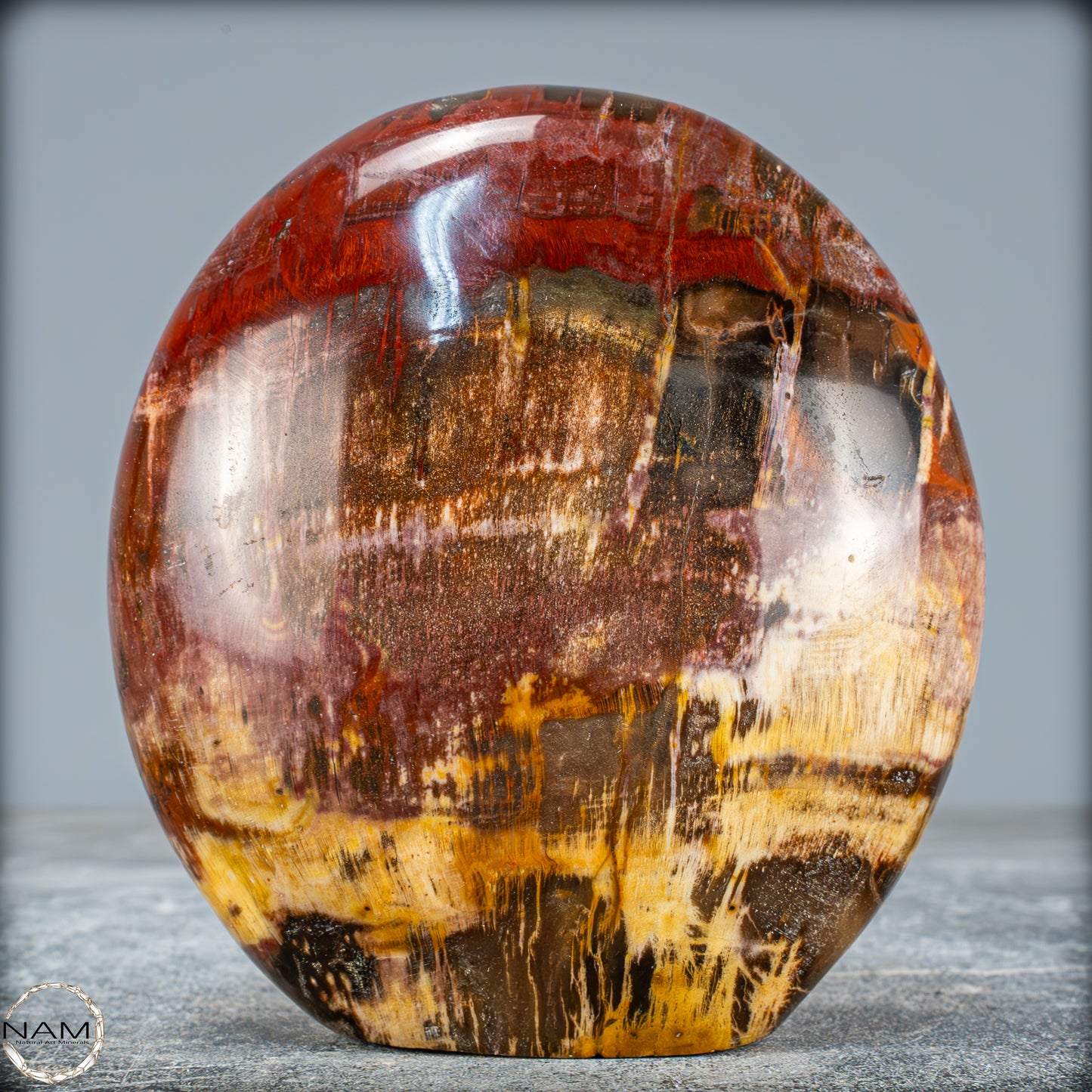Natürliche Kristall-Freiform aus Versteinertem Holz - 934,88g