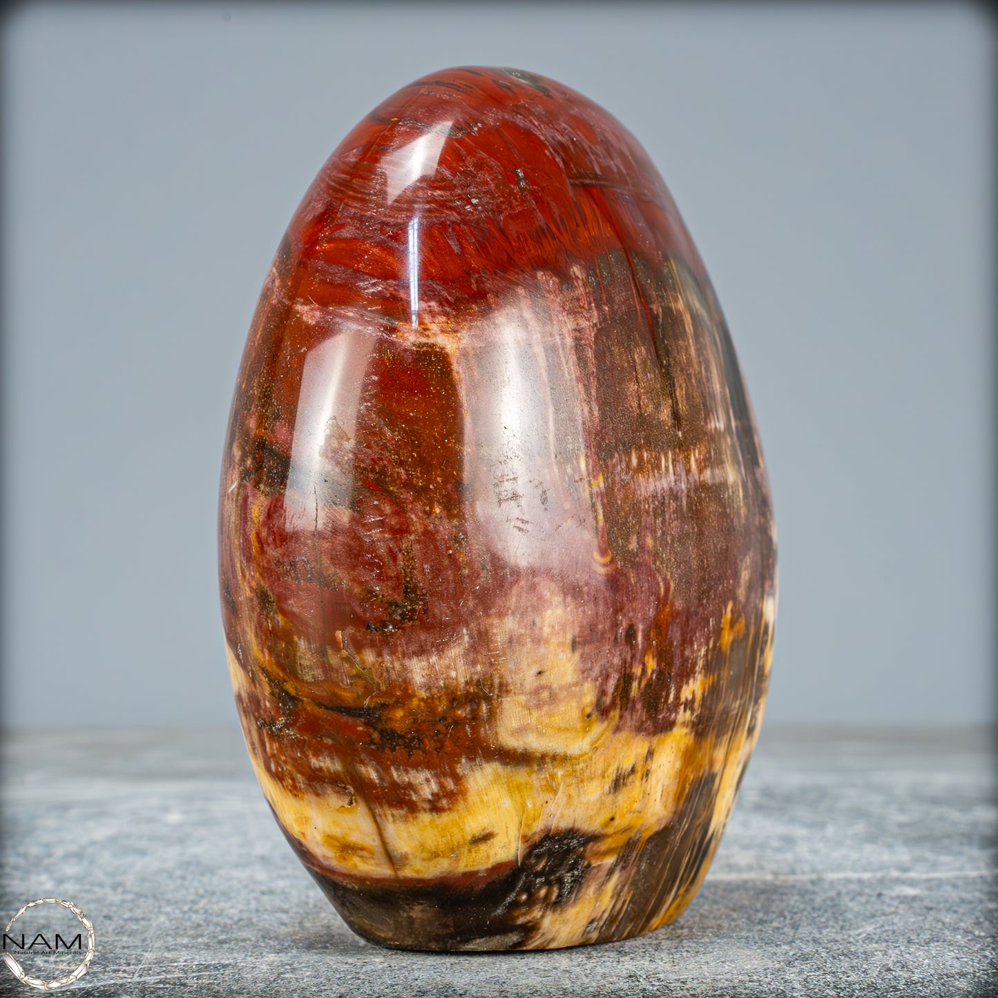 Natürliche Kristall-Freiform aus Versteinertem Holz - 934,88g