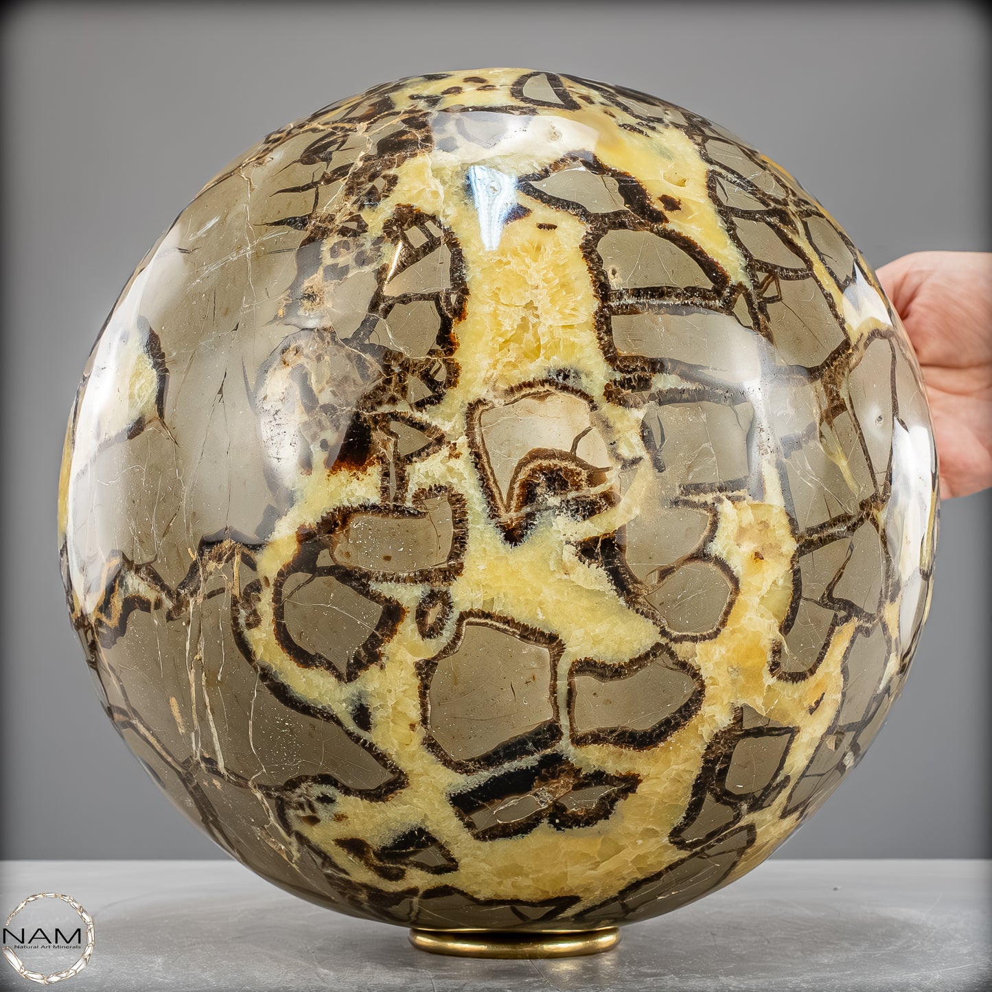 Große Natürliche Septarien Kugel - 24615,56g