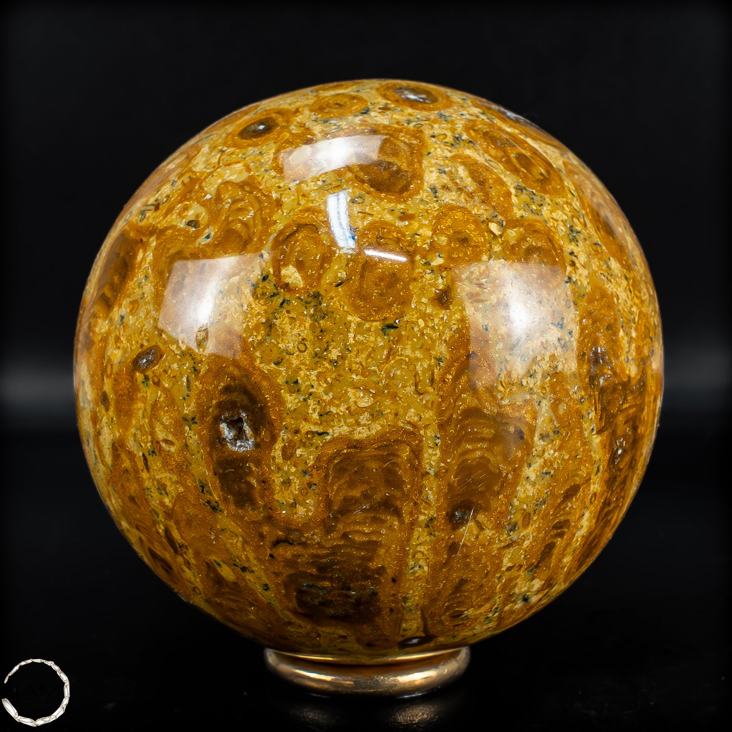 Natürliche Fossile Koralle als Kugel - 676,44 g