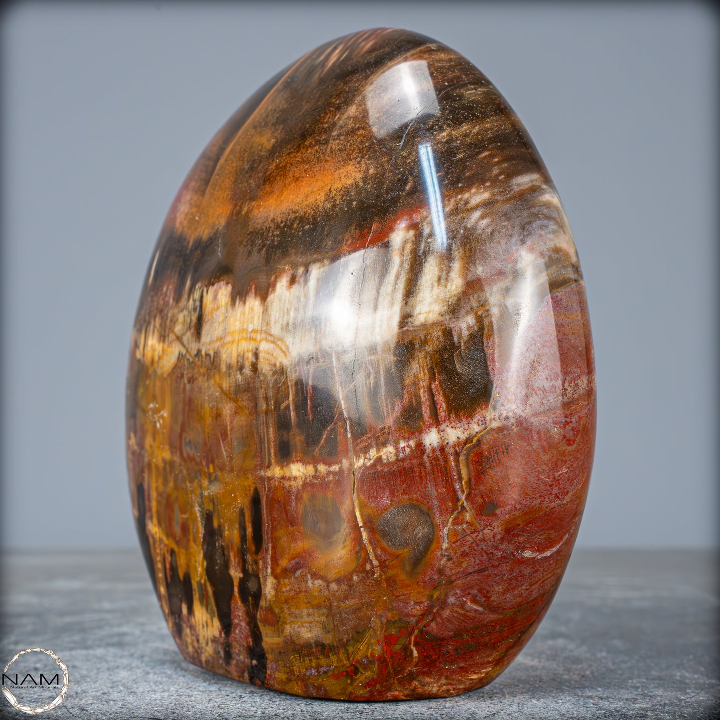 Natürliche Kristall-Freiform aus Versteinertem Holz - 1351,04g