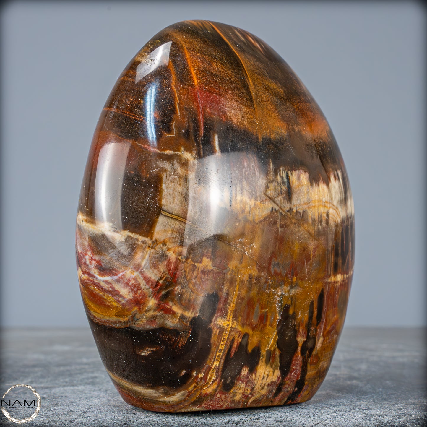 Natürliche Kristall-Freiform aus Versteinertem Holz - 1351,04g