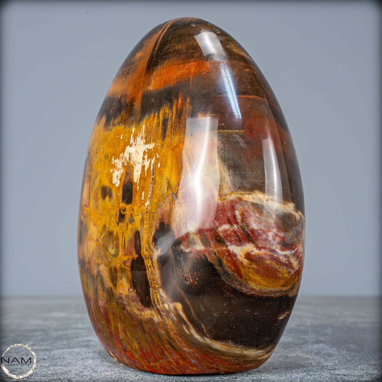 Natürliche Kristall-Freiform aus Versteinertem Holz - 1351,04g