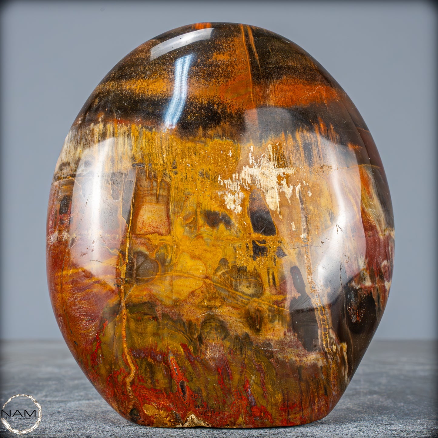 Natürliche Kristall-Freiform aus Versteinertem Holz - 1351,04g