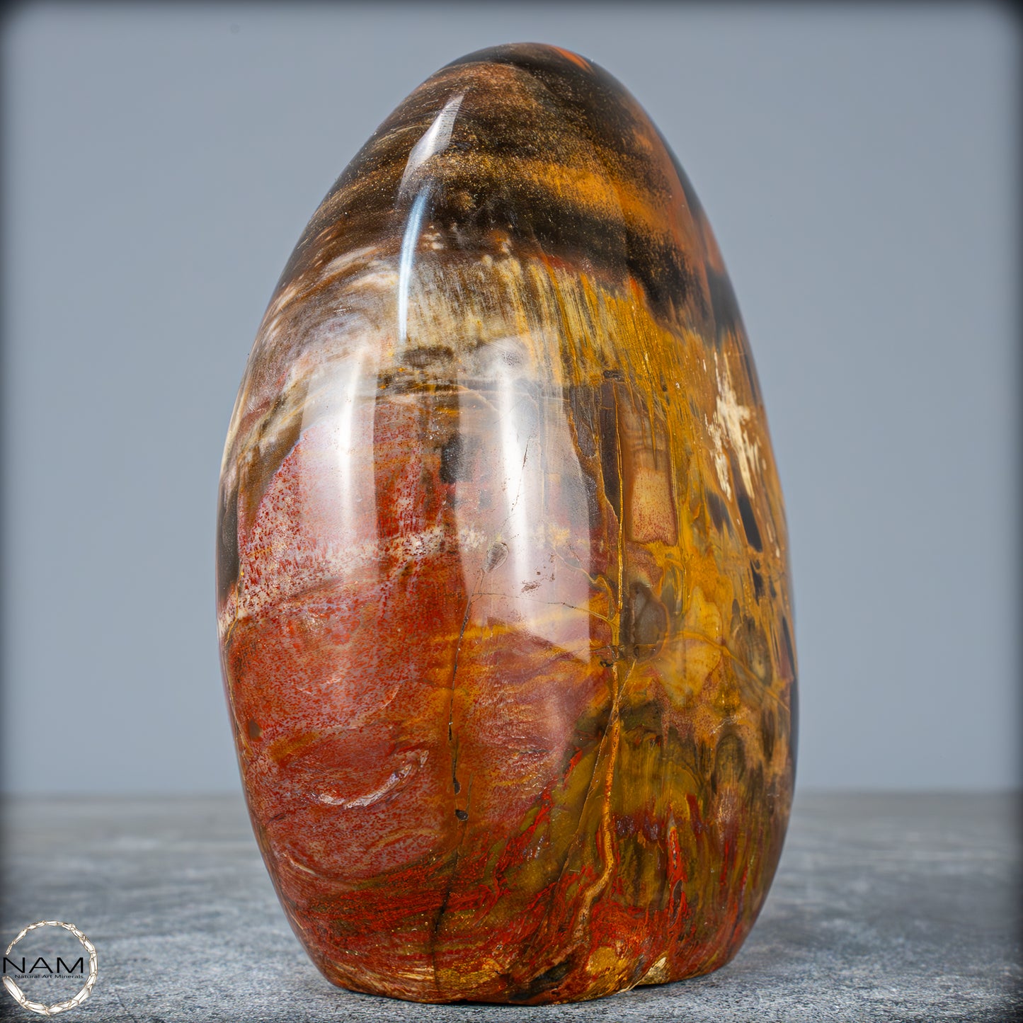 Natürliche Kristall-Freiform aus Versteinertem Holz - 1351,04g