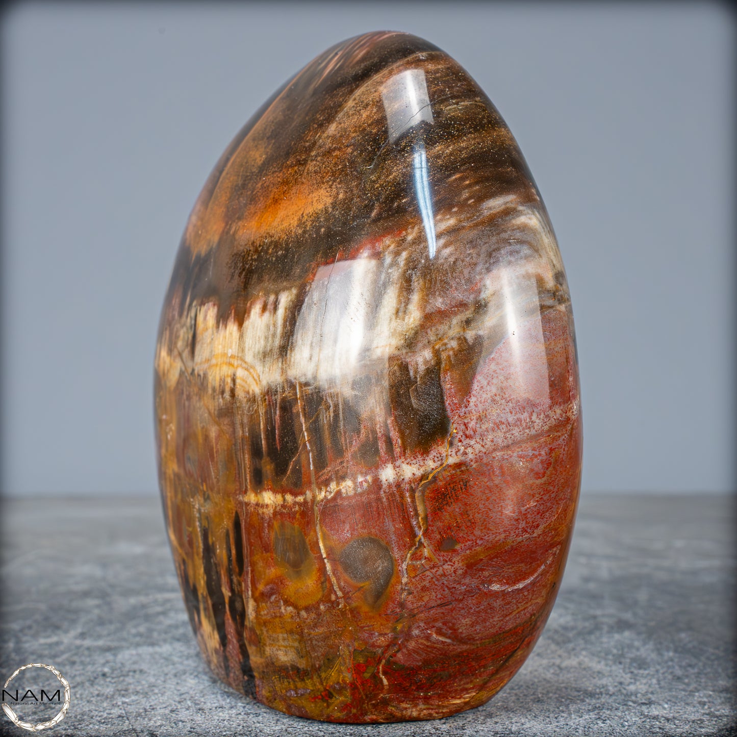 Natürliche Kristall-Freiform aus Versteinertem Holz - 1351,04g
