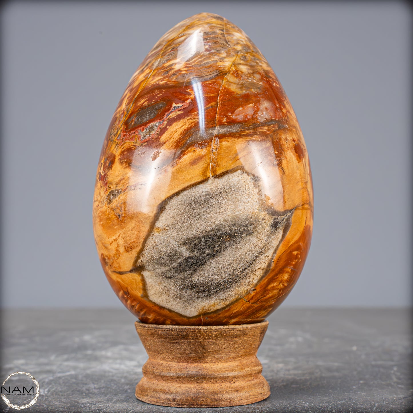 Natürliches Kristall-Ei aus Versteinertem Holz - 714,14g