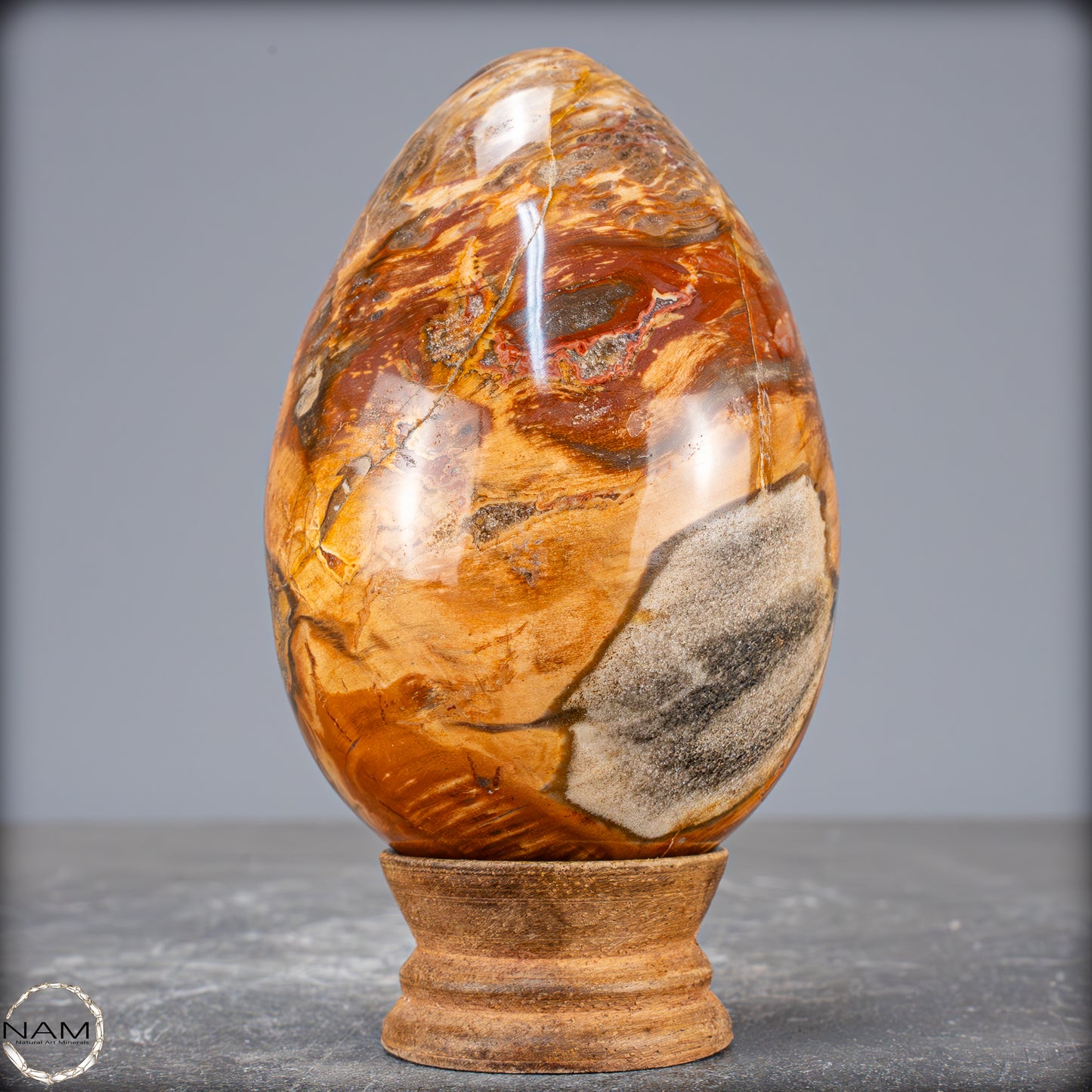 Natürliches Kristall-Ei aus Versteinertem Holz - 714,14g