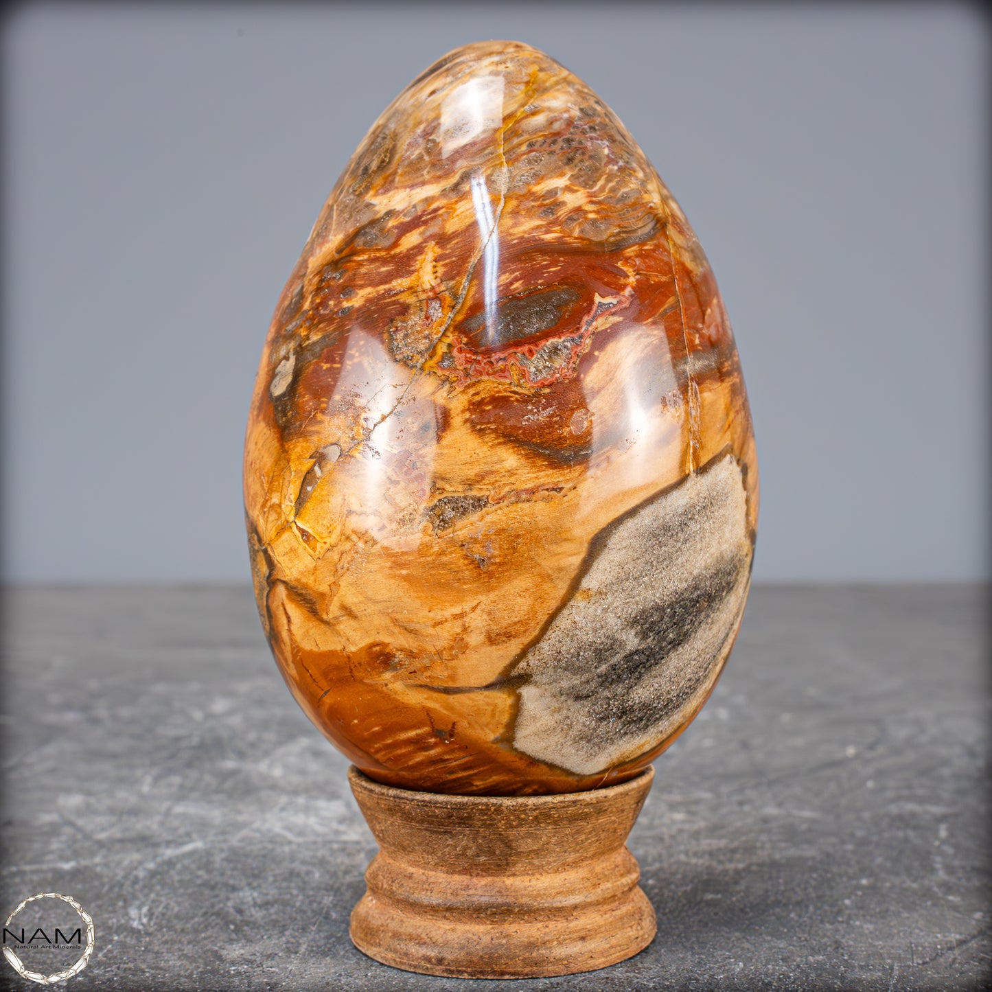 Natürliches Kristall-Ei aus Versteinertem Holz - 714,14g