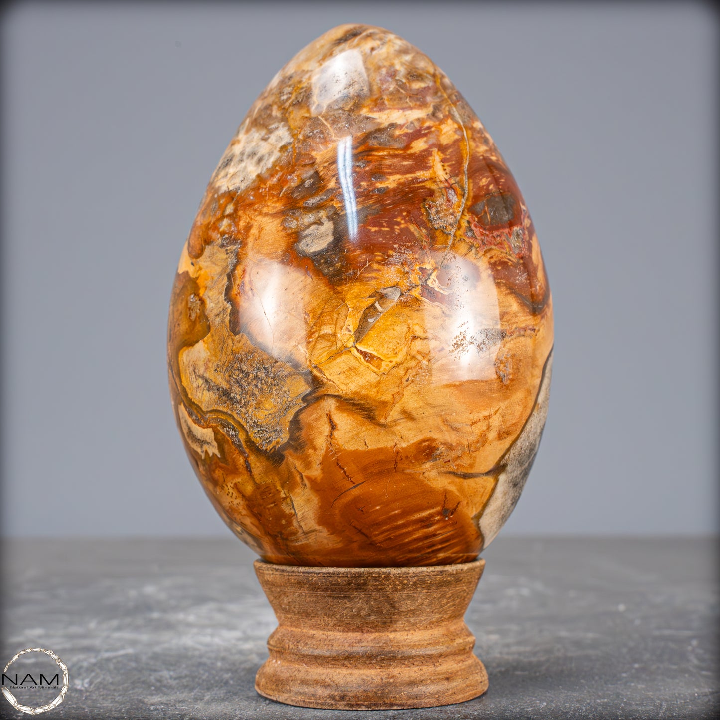 Natürliches Kristall-Ei aus Versteinertem Holz - 714,14g