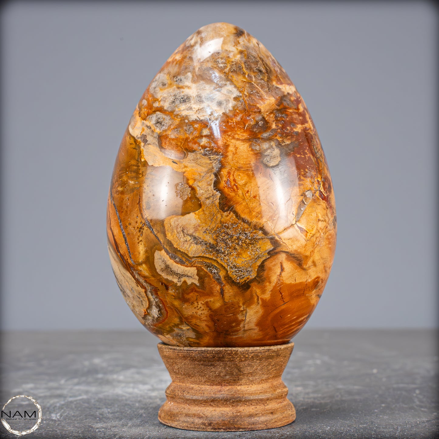 Natürliches Kristall-Ei aus Versteinertem Holz - 714,14g
