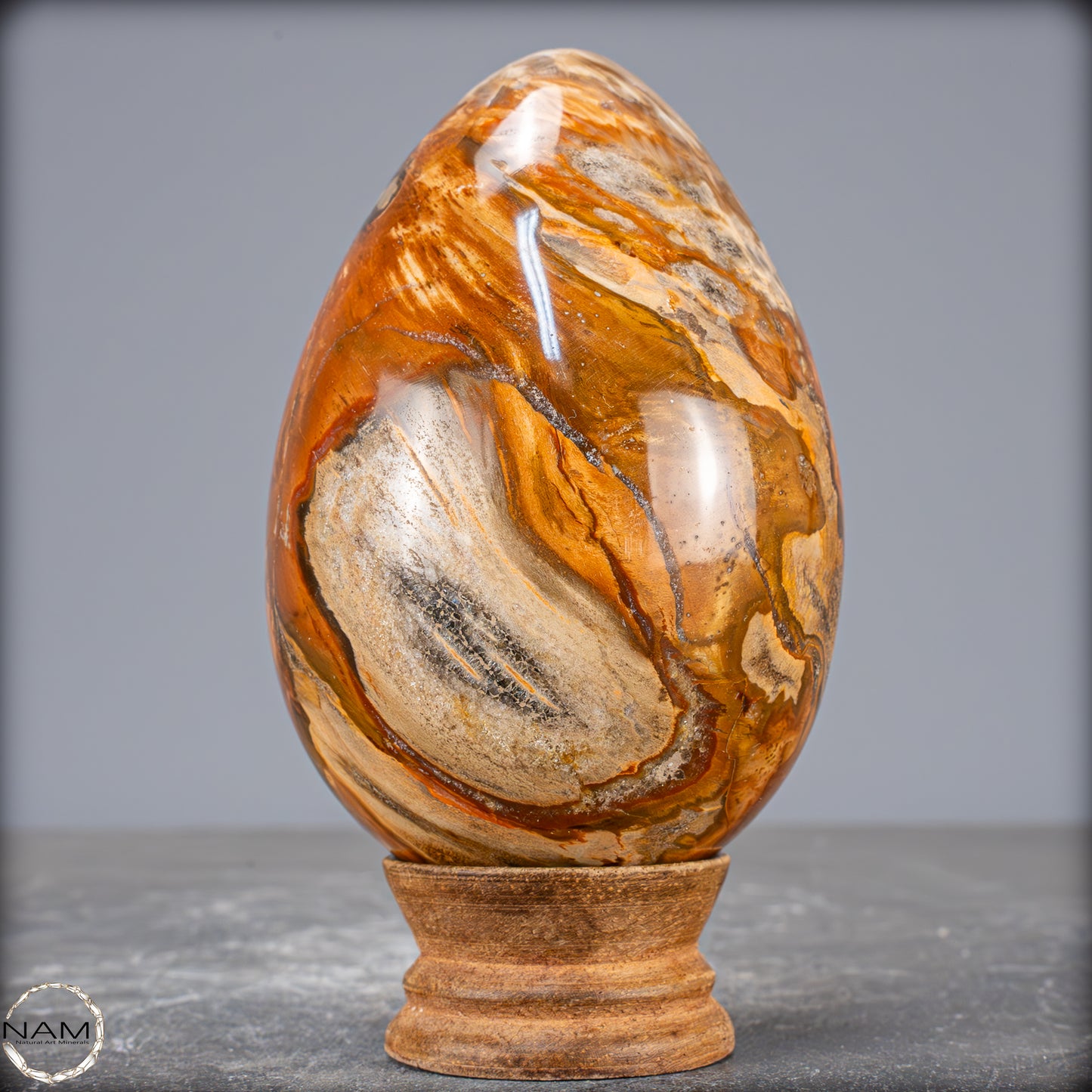 Natürliches Kristall-Ei aus Versteinertem Holz - 714,14g
