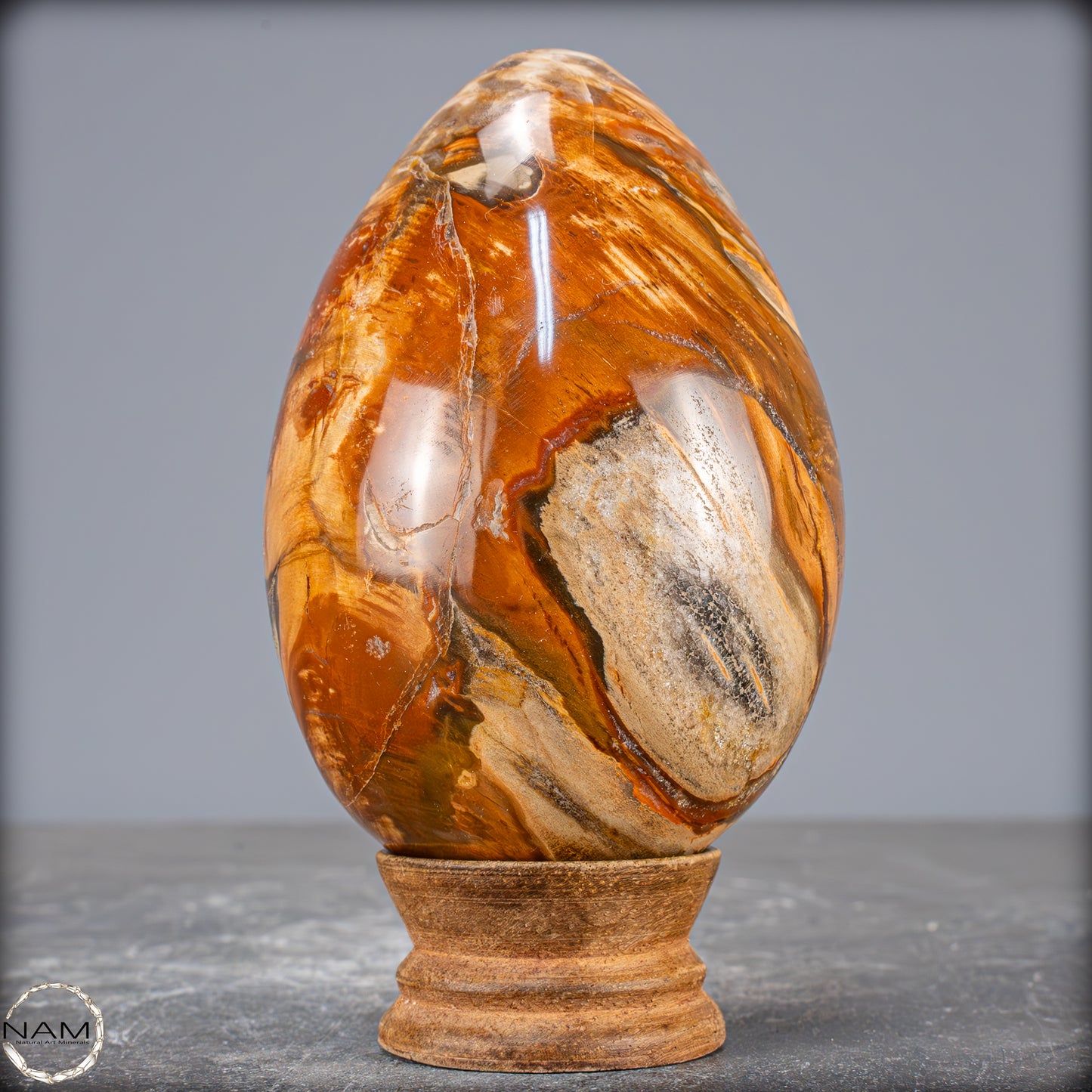 Natürliches Kristall-Ei aus Versteinertem Holz - 714,14g