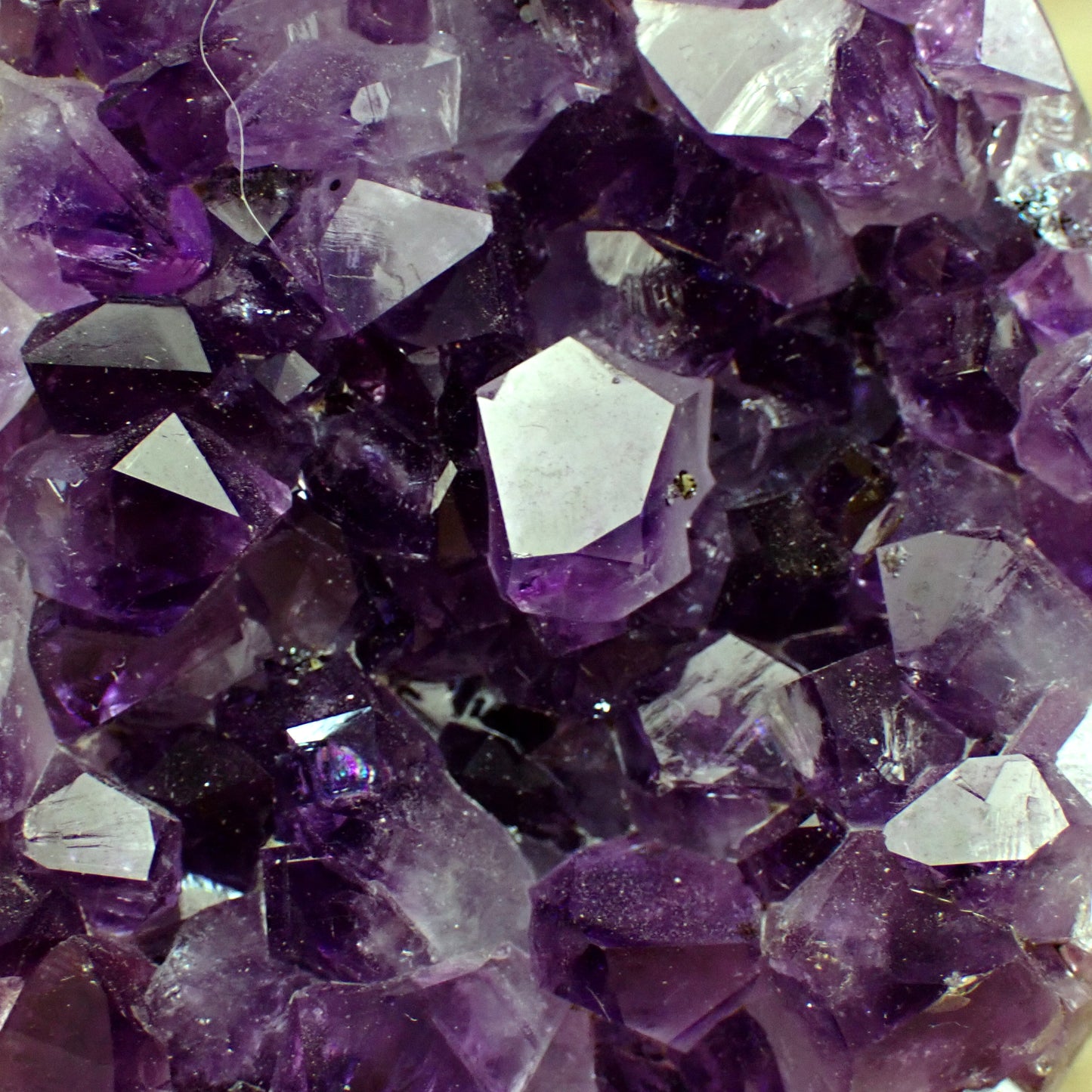 Amethyst Ei Druse – 269,91g – 73 x 57 x 54mm