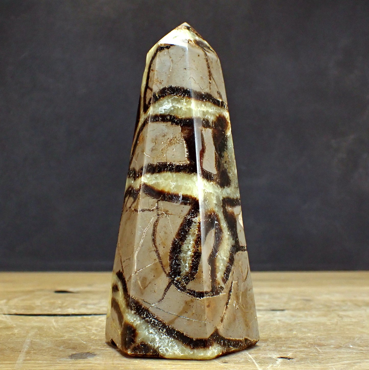 Septarien Obelisk mit Druse - 868,18g - 168x72x68mm