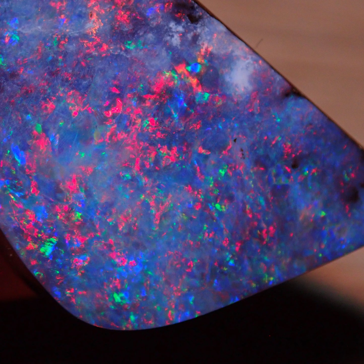 AAA+ Boulder Opal Anhänger aus Australien, 81.95 ct - 16,39g - 45,49 x 23,72 x 10,87mm