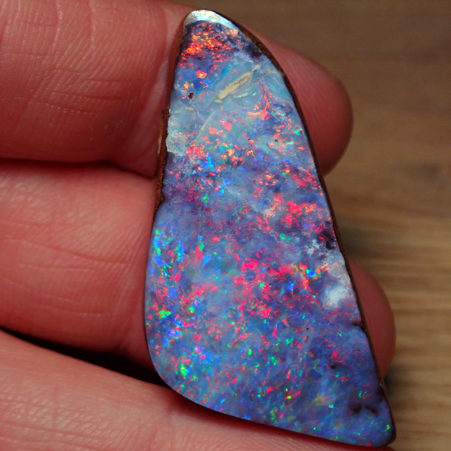 AAA+ Boulder Opal Anhänger aus Australien, 81.95 ct - 16,39g - 45,49 x 23,72 x 10,87mm