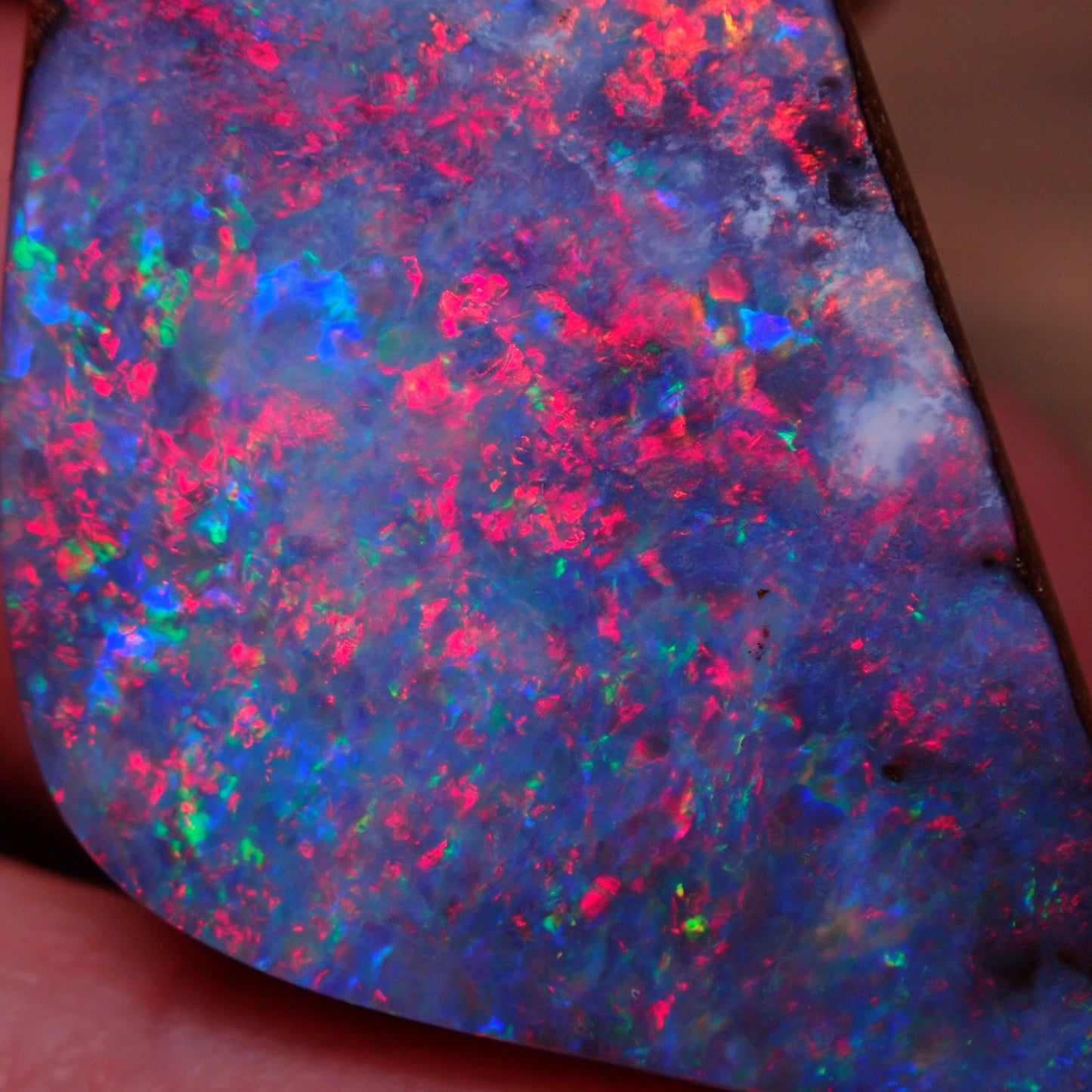 AAA+ Boulder Opal Anhänger aus Australien, 81.95 ct - 16,39g - 45,49 x 23,72 x 10,87mm