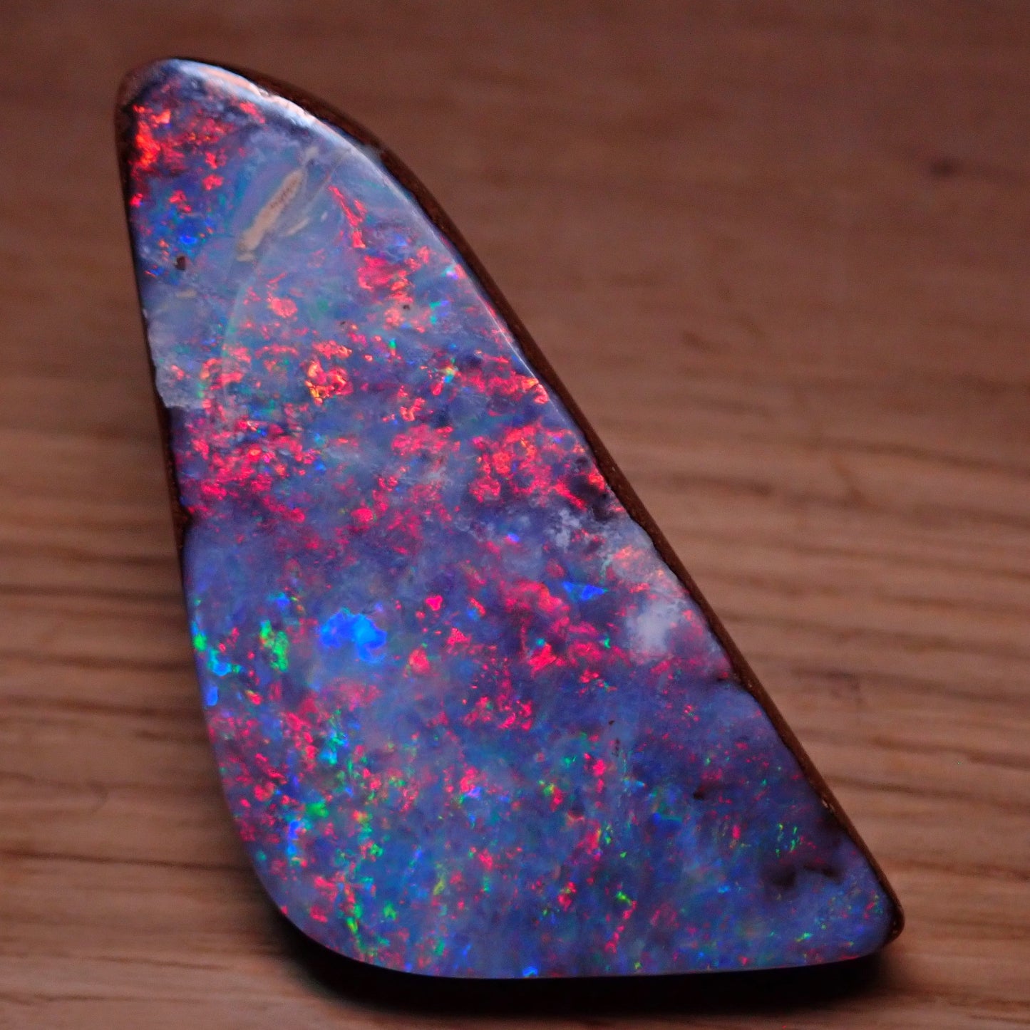 AAA+ Boulder Opal Anhänger aus Australien, 81.95 ct - 16,39g - 45,49 x 23,72 x 10,87mm