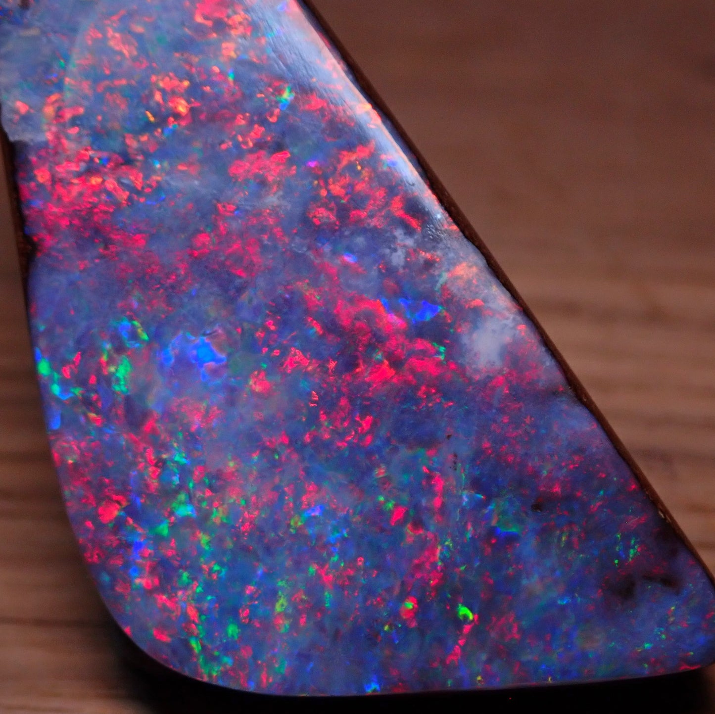 AAA+ Boulder Opal Anhänger aus Australien, 81.95 ct - 16,39g - 45,49 x 23,72 x 10,87mm